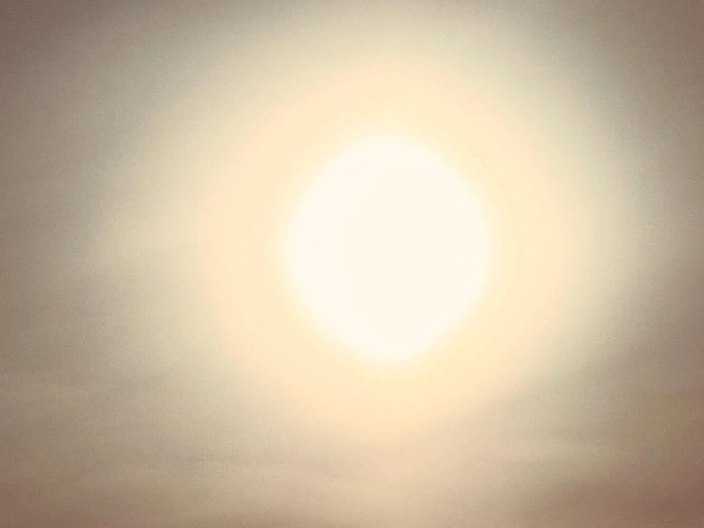 The Bright Sun ☀️#bright #sunset #sun #newnight #bright #light #settingsun #photoftheday #photoshoot #photographer #photographylovers #digital #digitalphotography #naturephotography #nature #naturelovers
#lifestyle #naturelifestyle