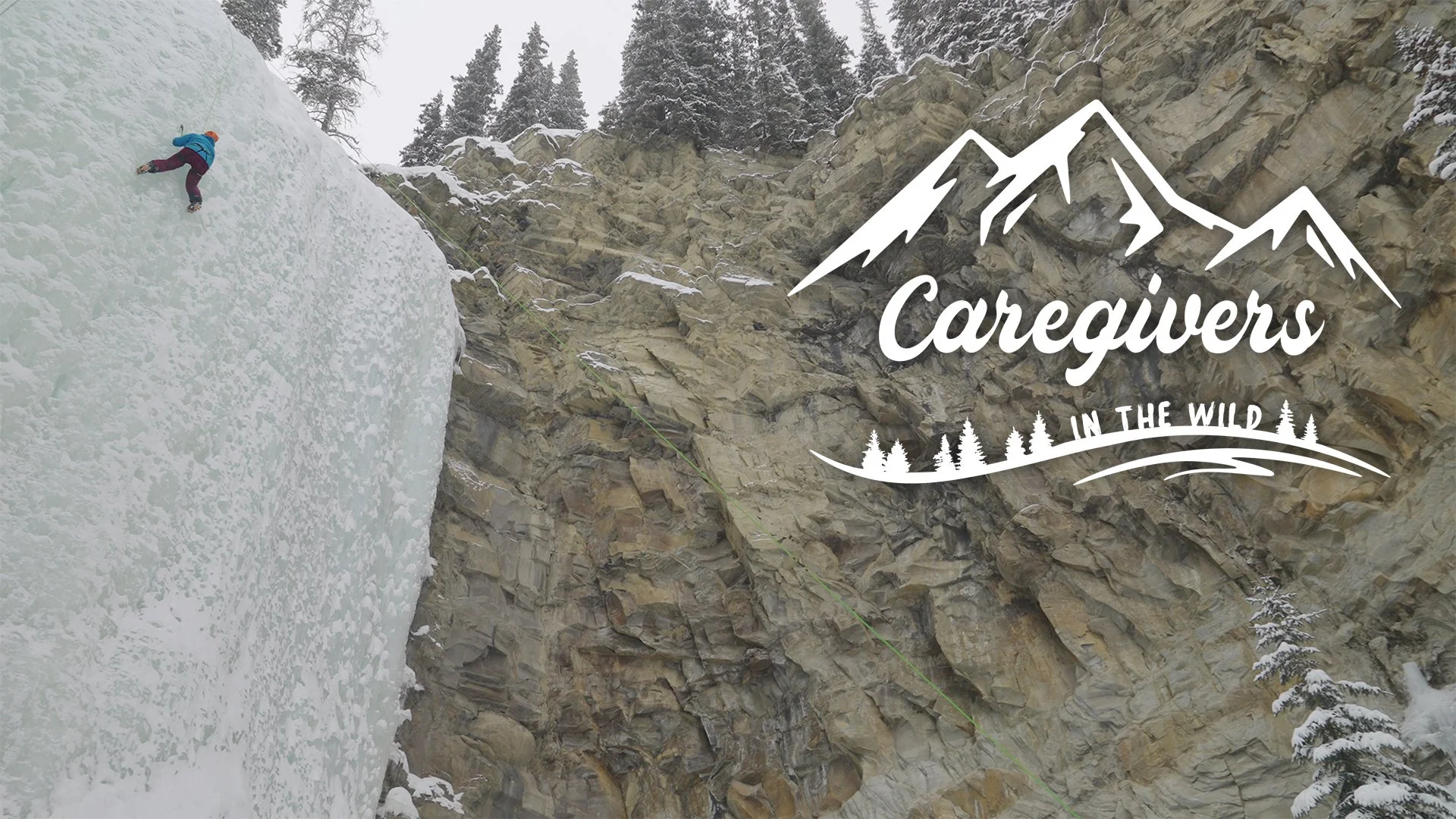 Caregivers in the Wild