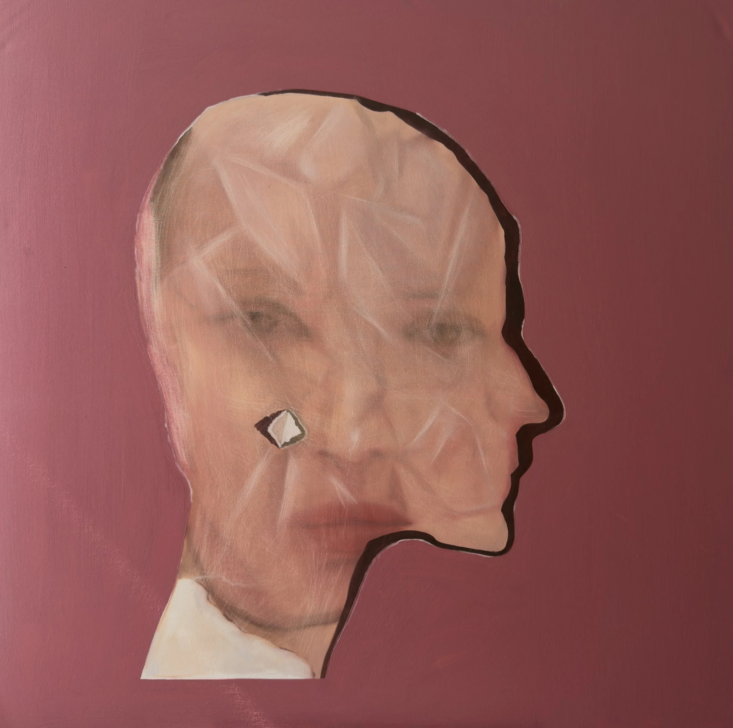 Abstract portrait of a woman's face in profile with geometric patterns and a pink background.