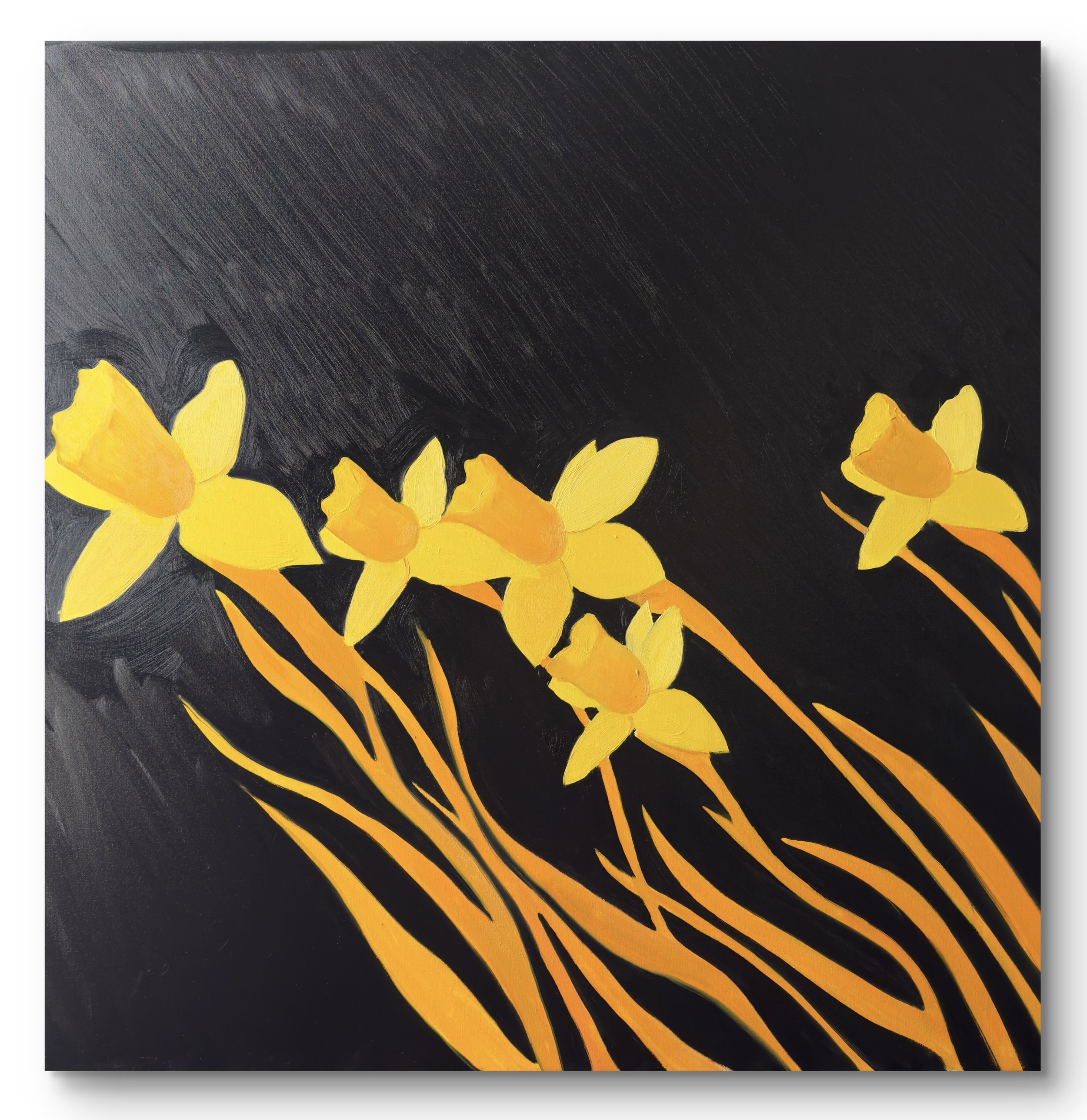 49172860-bb69-11f0-a32c-65a0c0145c23 2.jpg