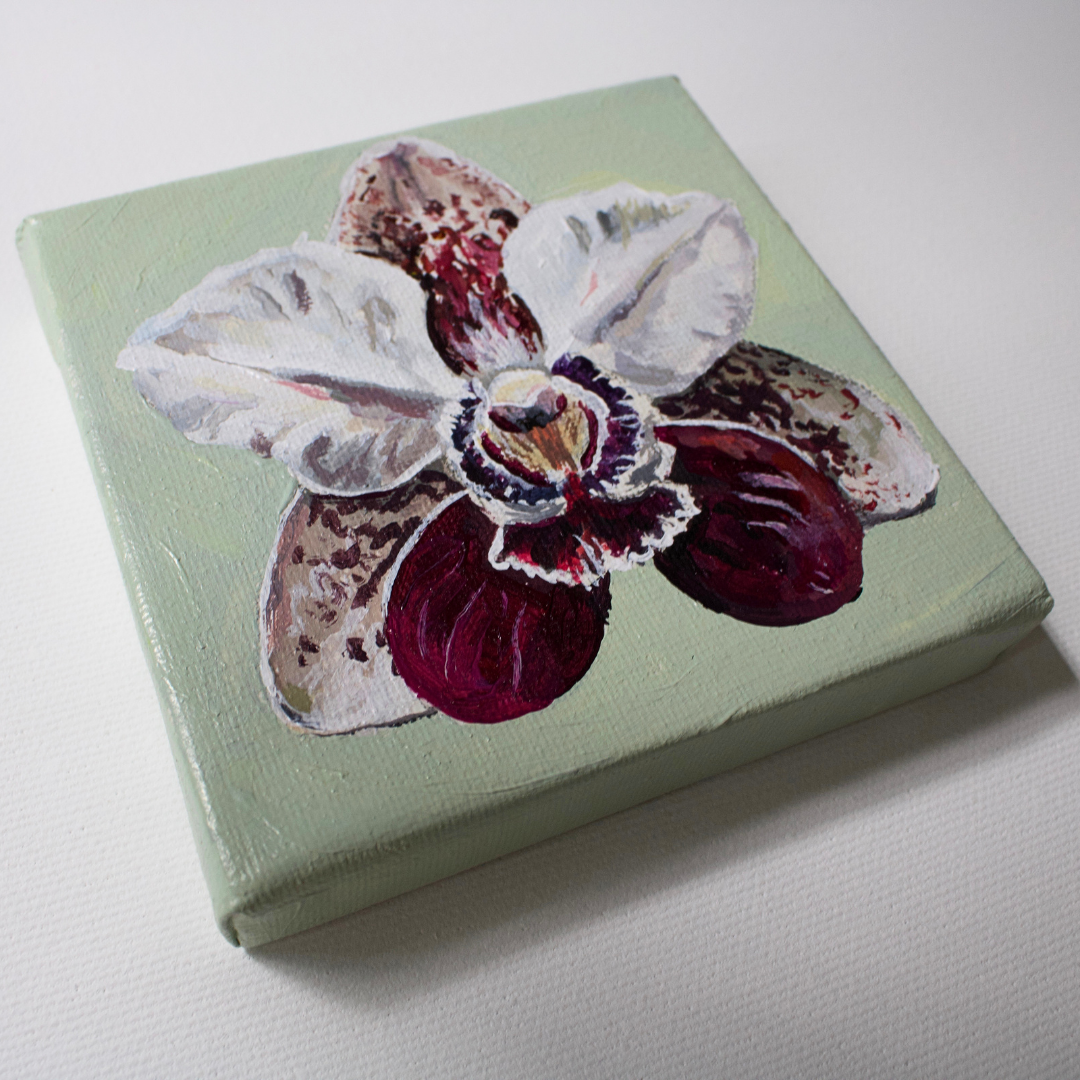 Orchideenblüte