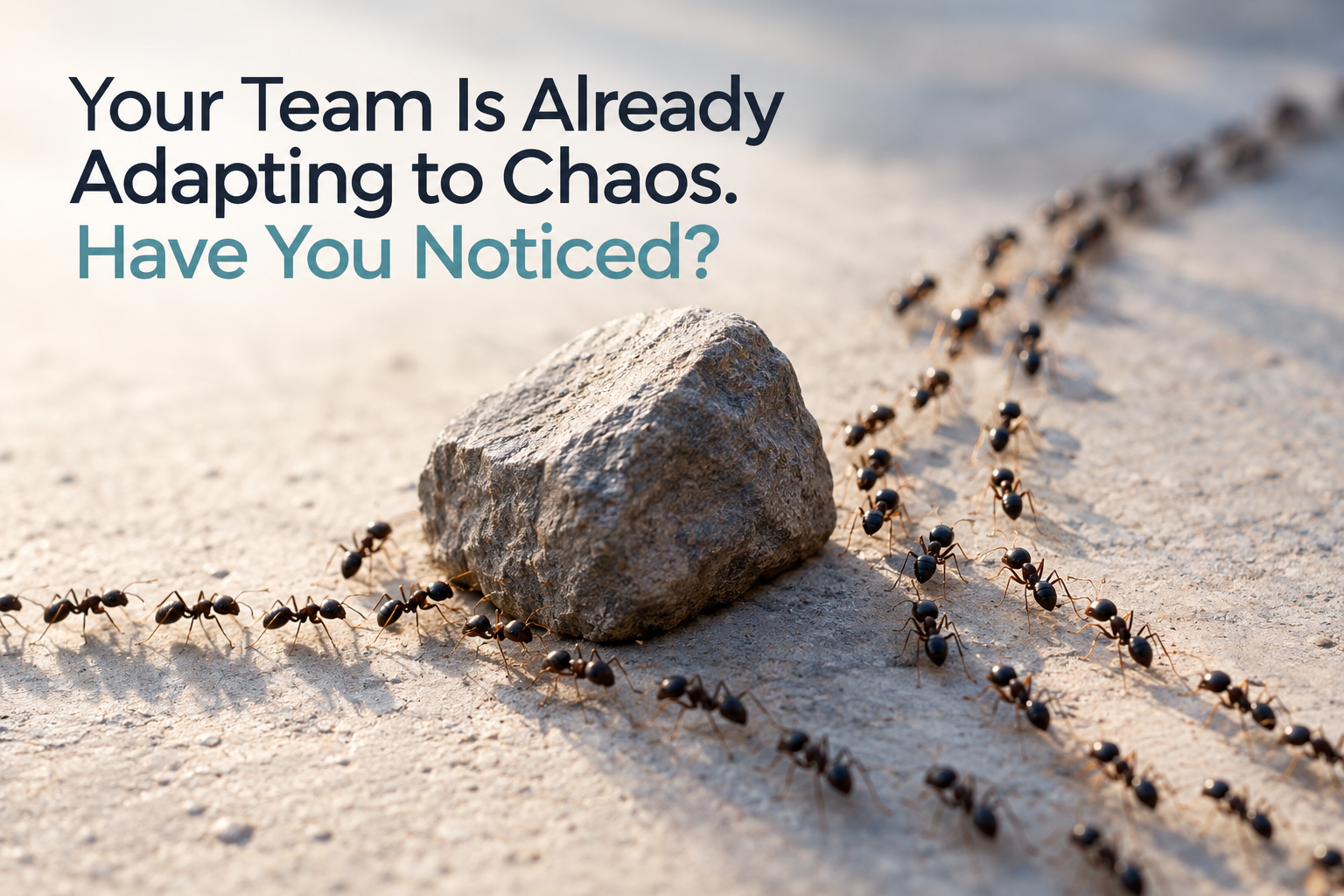 Your Team Is Already Adapting. Have You Noticed?