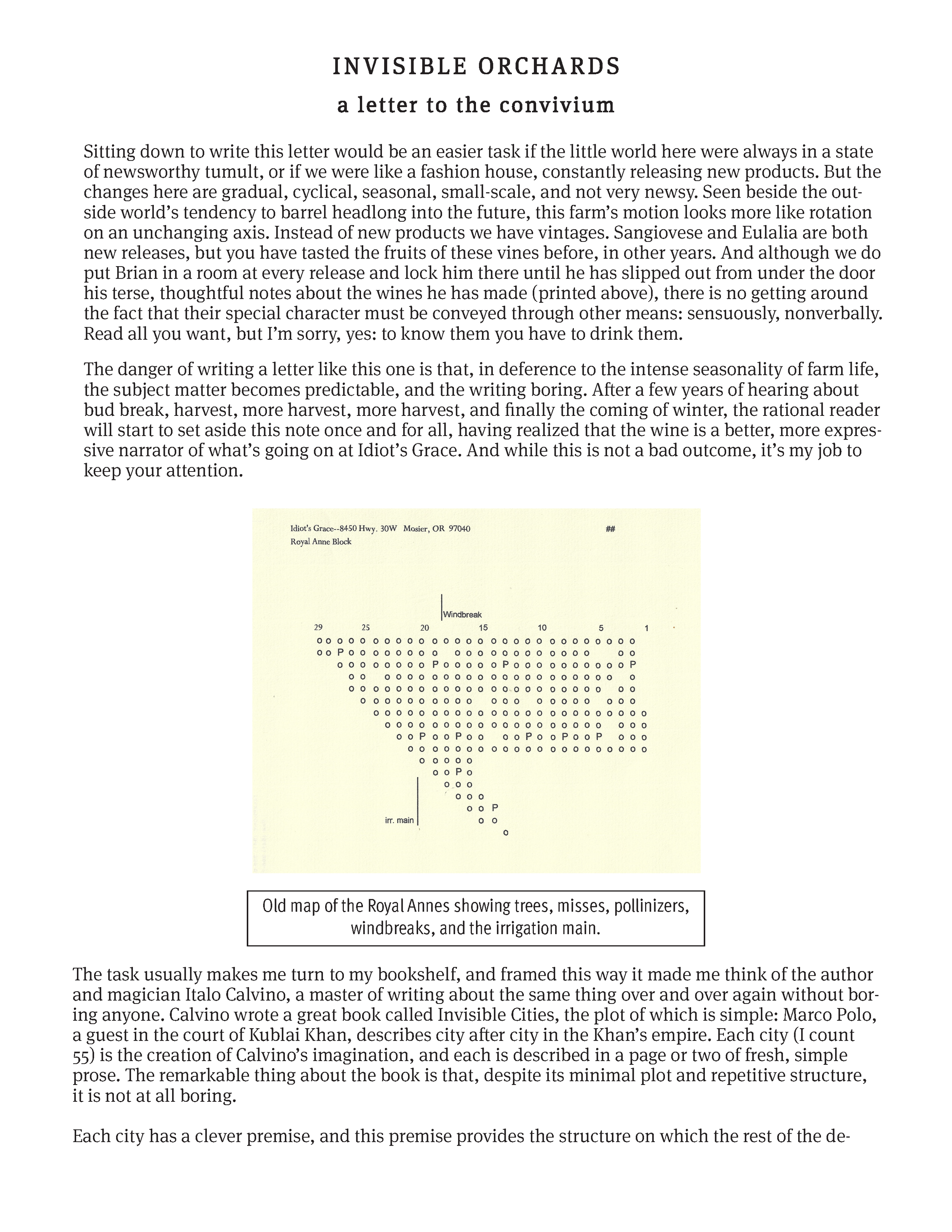 A page from a letter featuring an old map of the Royal Annes showing trees, misses, pollinizers, windbreaks, and the irrigation main, with text discussing the map and its significance.