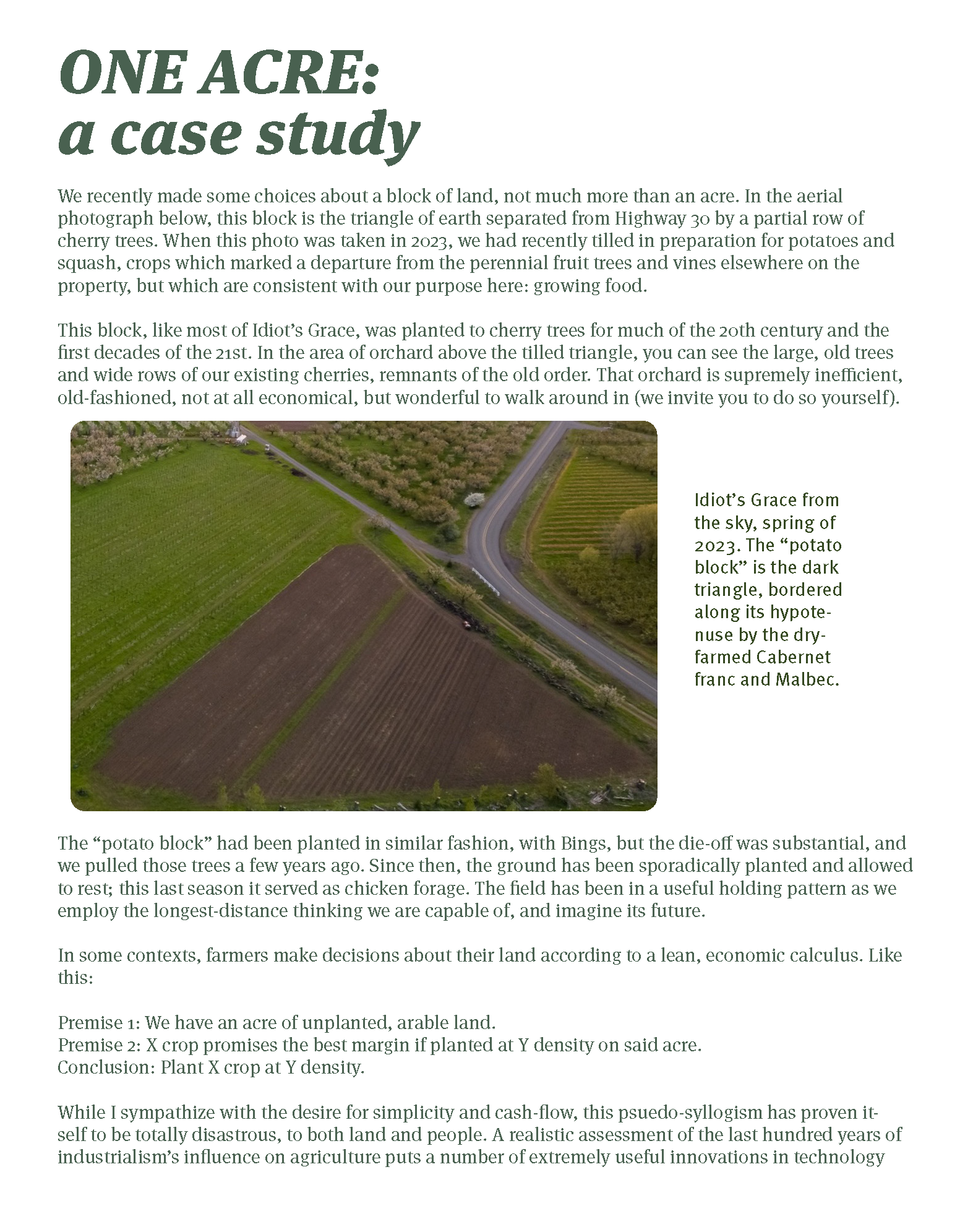 Page of an archival newsletter from Idiot's Grace