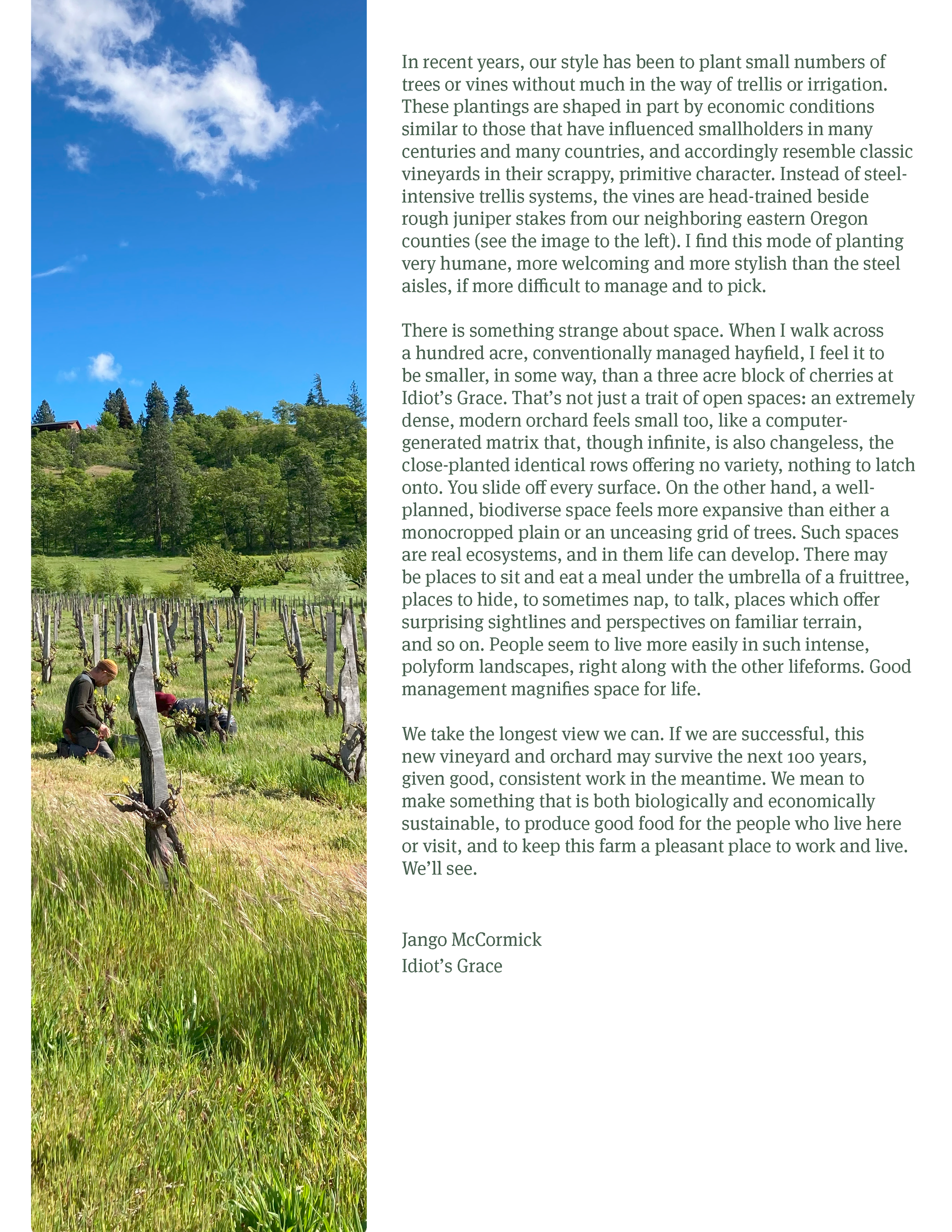 A photograph of a vineyard with workers tending grapevines in the foreground, lush green hills, trees, and a partly cloudy sky in the background.