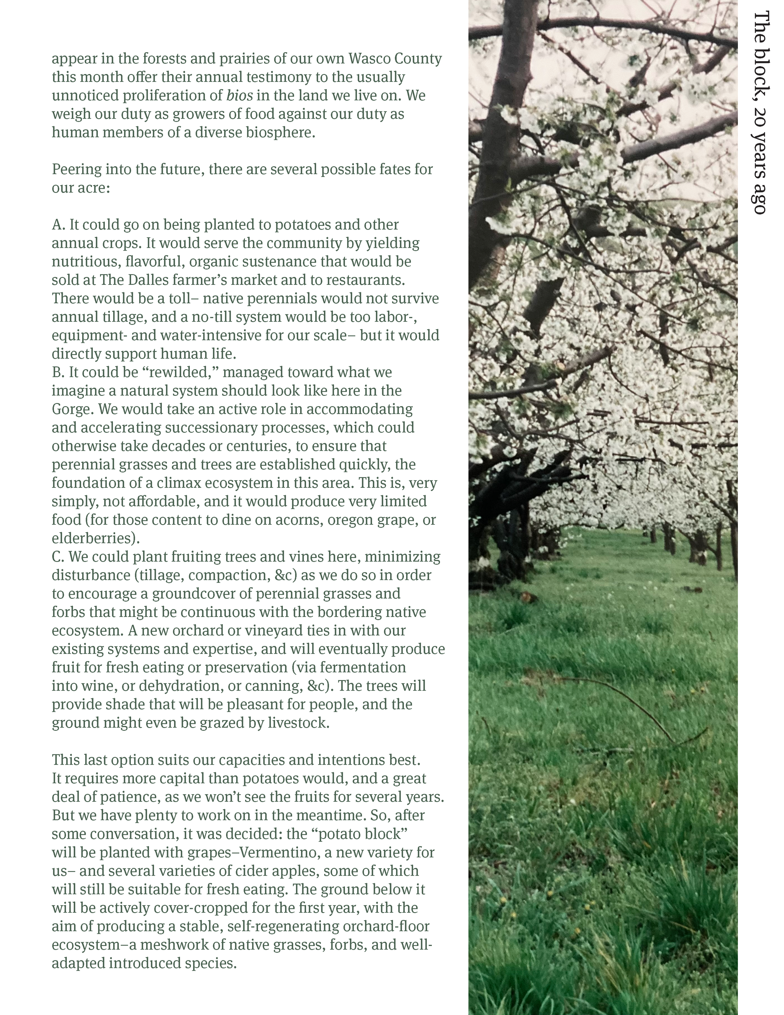 Photo of blossoming cherry trees along a grassy landscape, with text about ecological and agricultural plans in Wasco County on the right side.