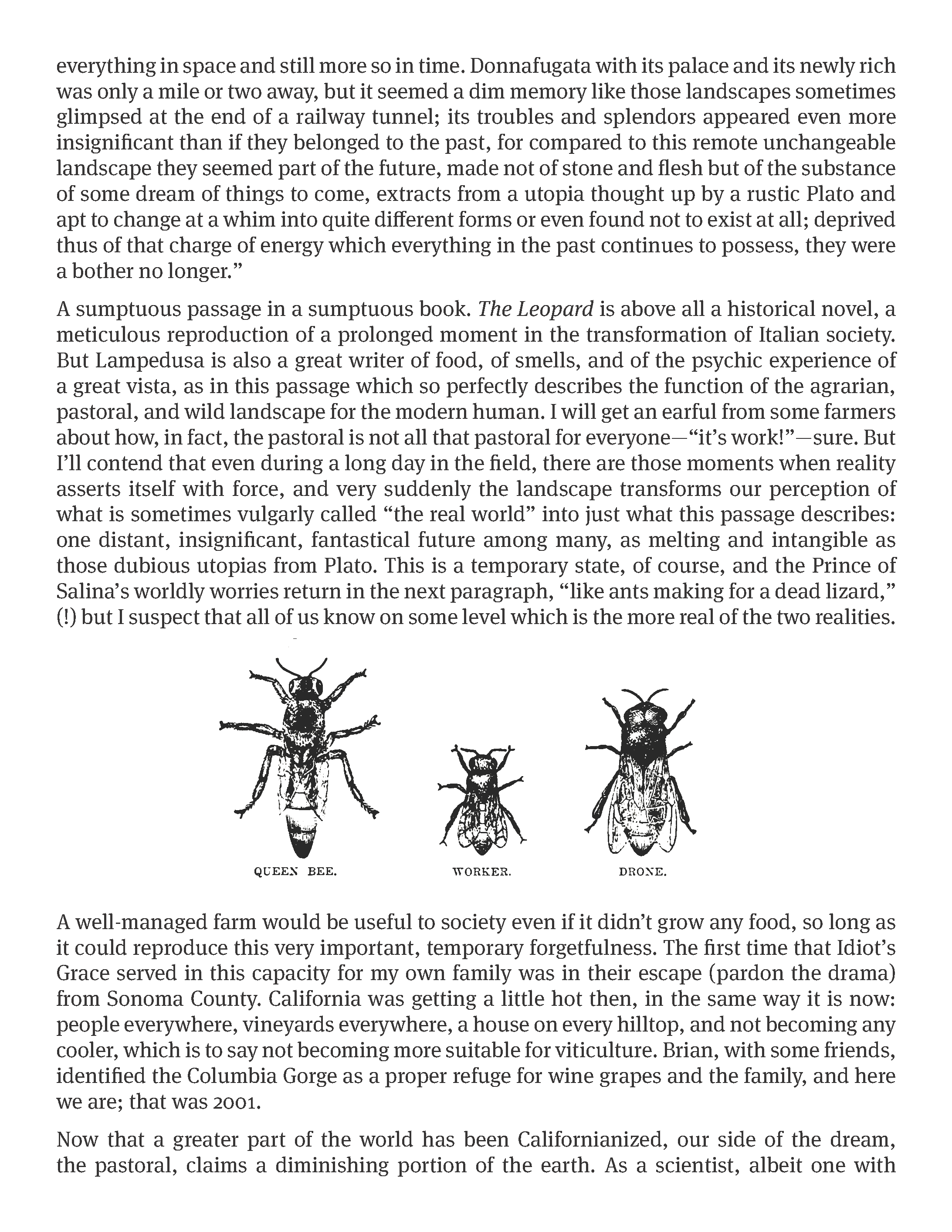 Page of an archival newsletter from Idiot's Grace