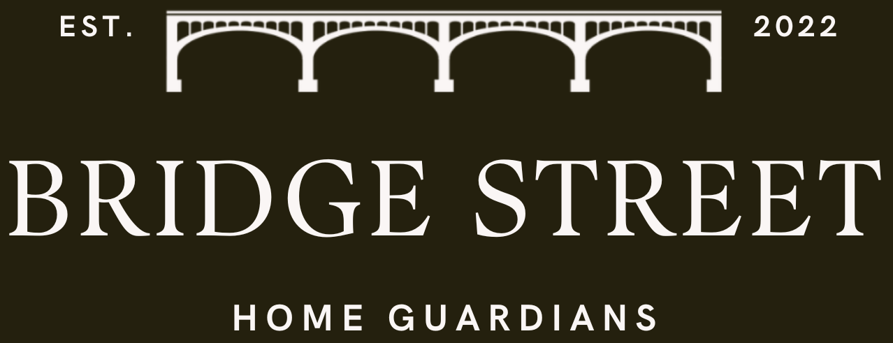 Bridge Street Maintenance