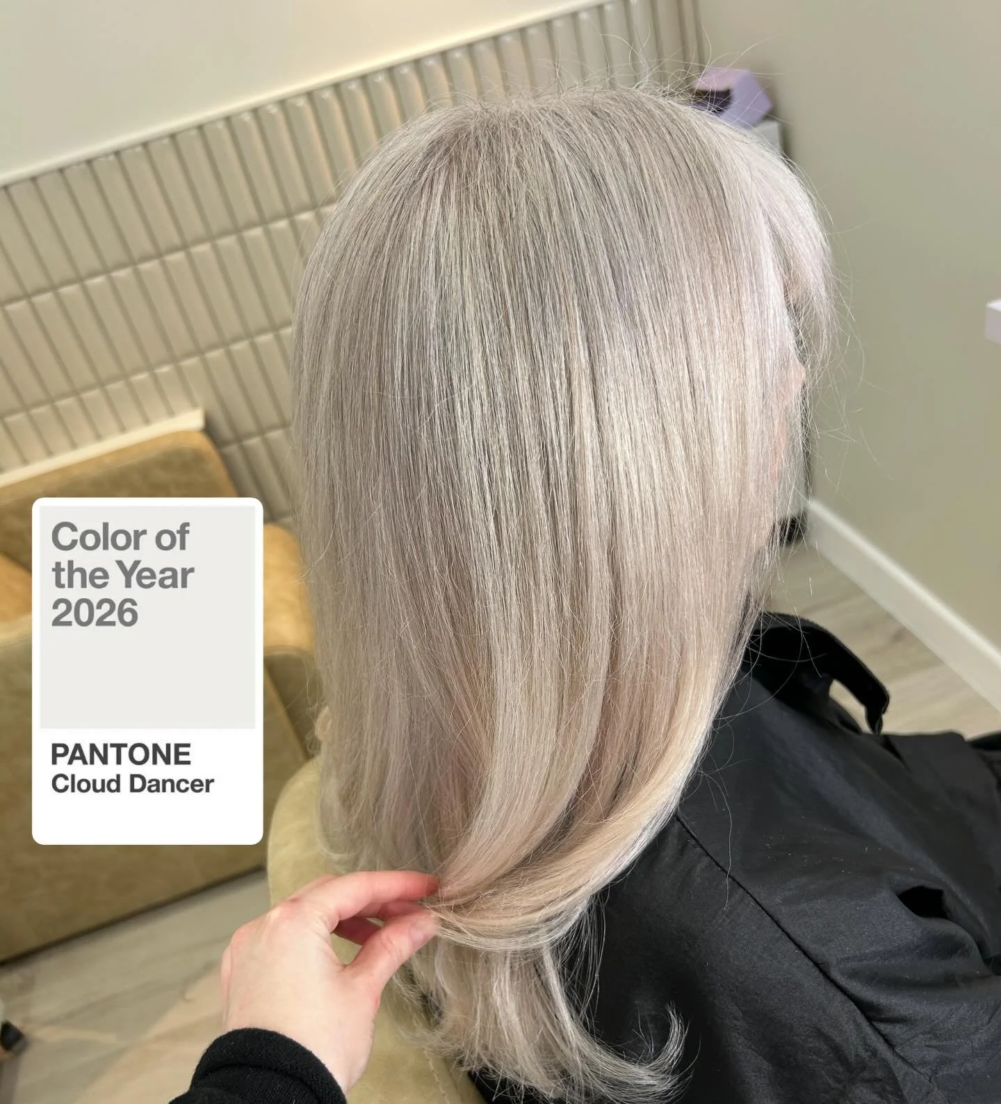 Cloud-touched blonde ✨
This icy, seamless blonde is giving Pantone Cloud Dancer 2026 👀 bright, clean and ultra-soft.
Created using packed in babylights + toned for that gorgeous pearly finish 😍

#pantone2026 #clouddancer #sherhairstudio