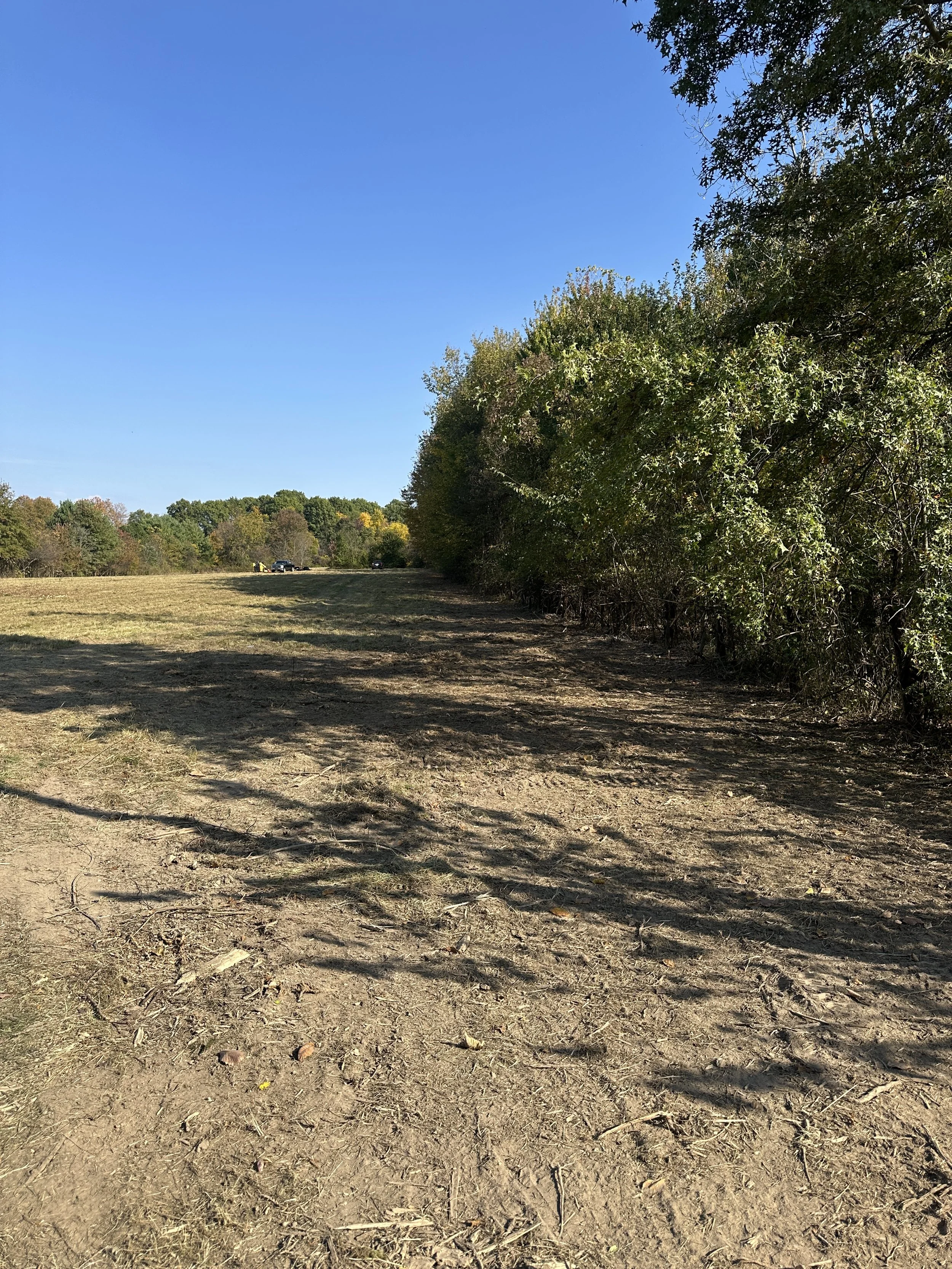 A dirt path runs alongside a row of green trees under a clear blue sky.