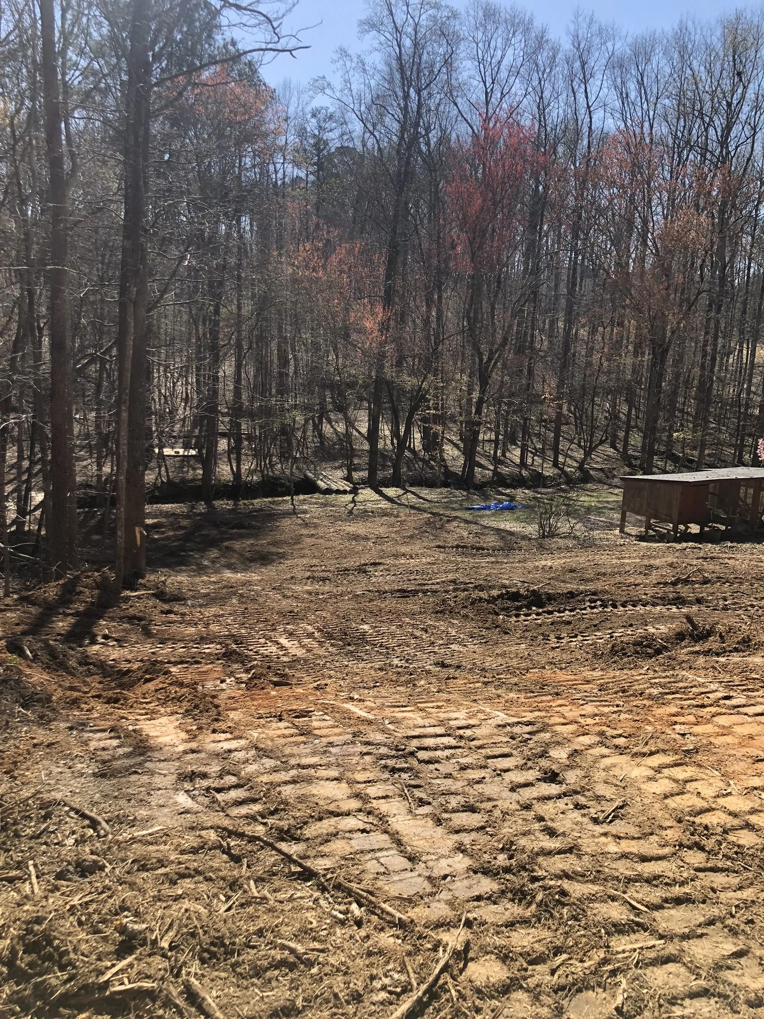 A cleared dirt yard with tracks, surrounded by a wooded area with leafless trees and a small wooden deck on the right side.