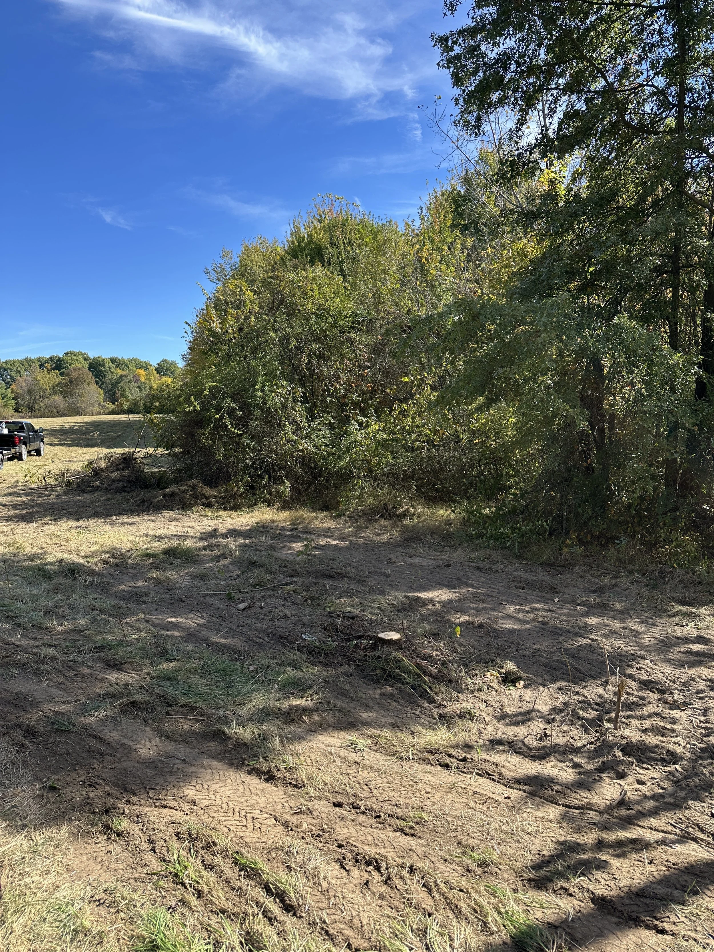 A dirt path on a bright, sunny day with blue sky and clouds, bordered by grass and dense bushes and trees.