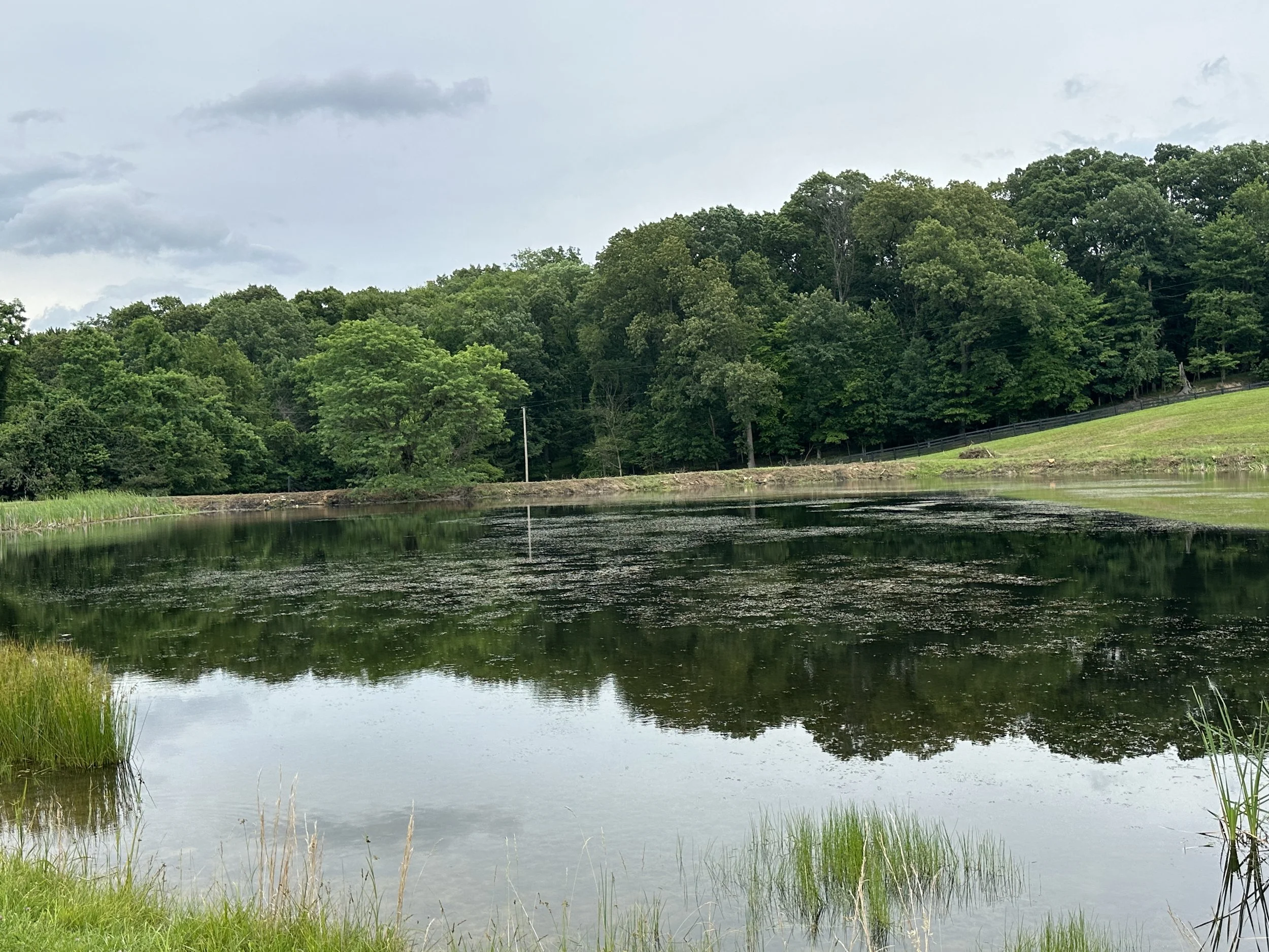 A peaceful lake surrounded by lush green trees, with the water reflecting the sky and foliage. The sky is overcast with gray clouds.