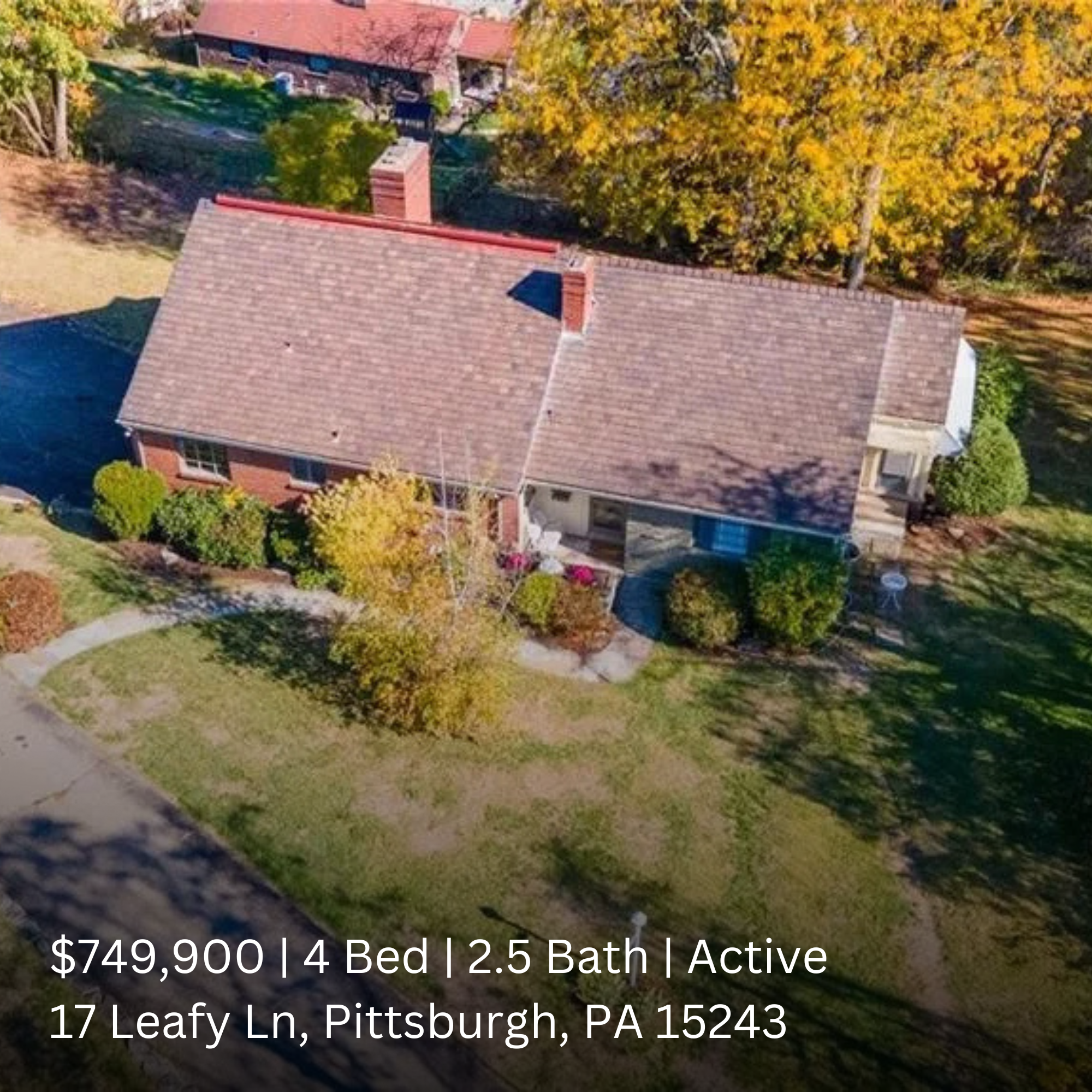 Your paragraph text (1).png