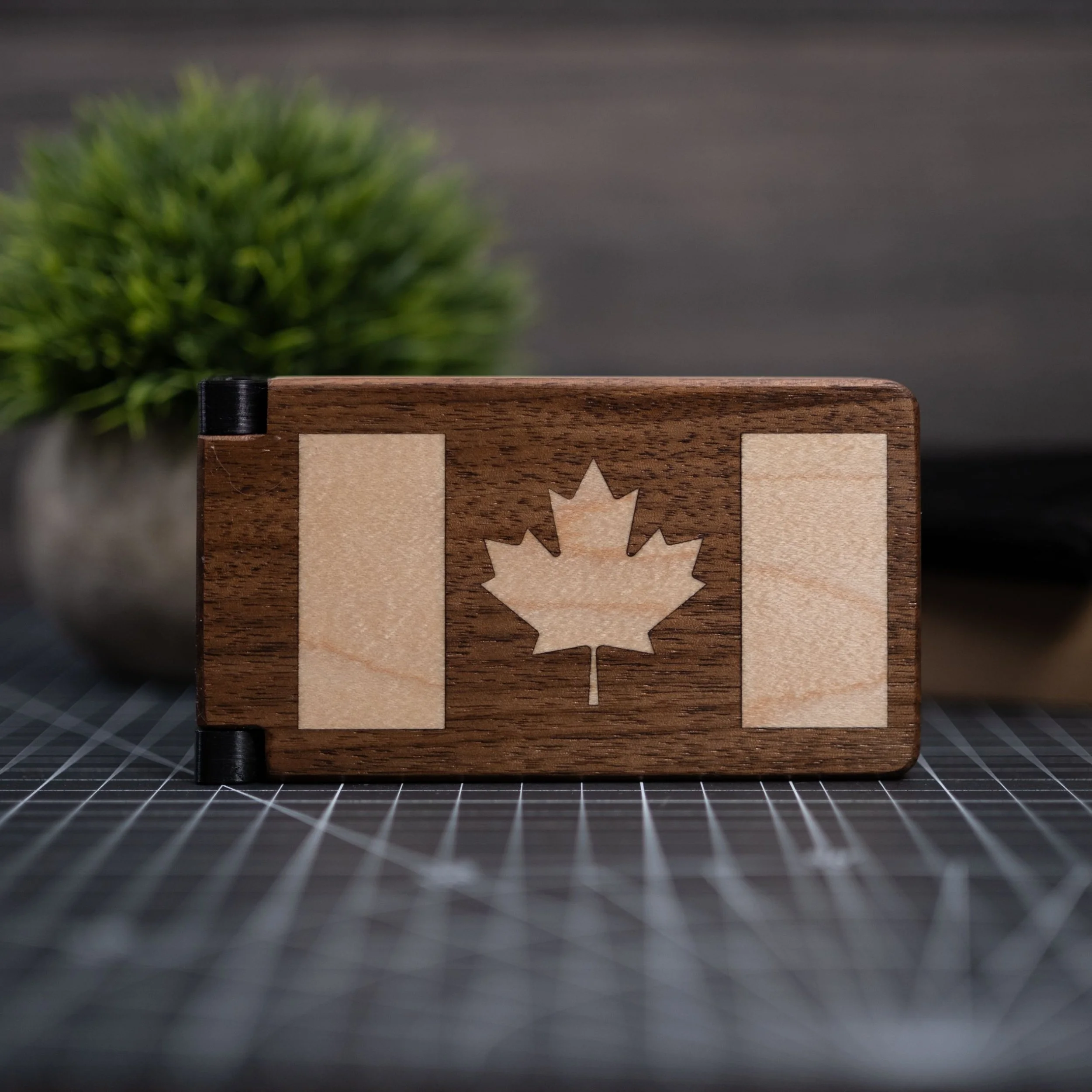 DSCF2333 (Large).jpg