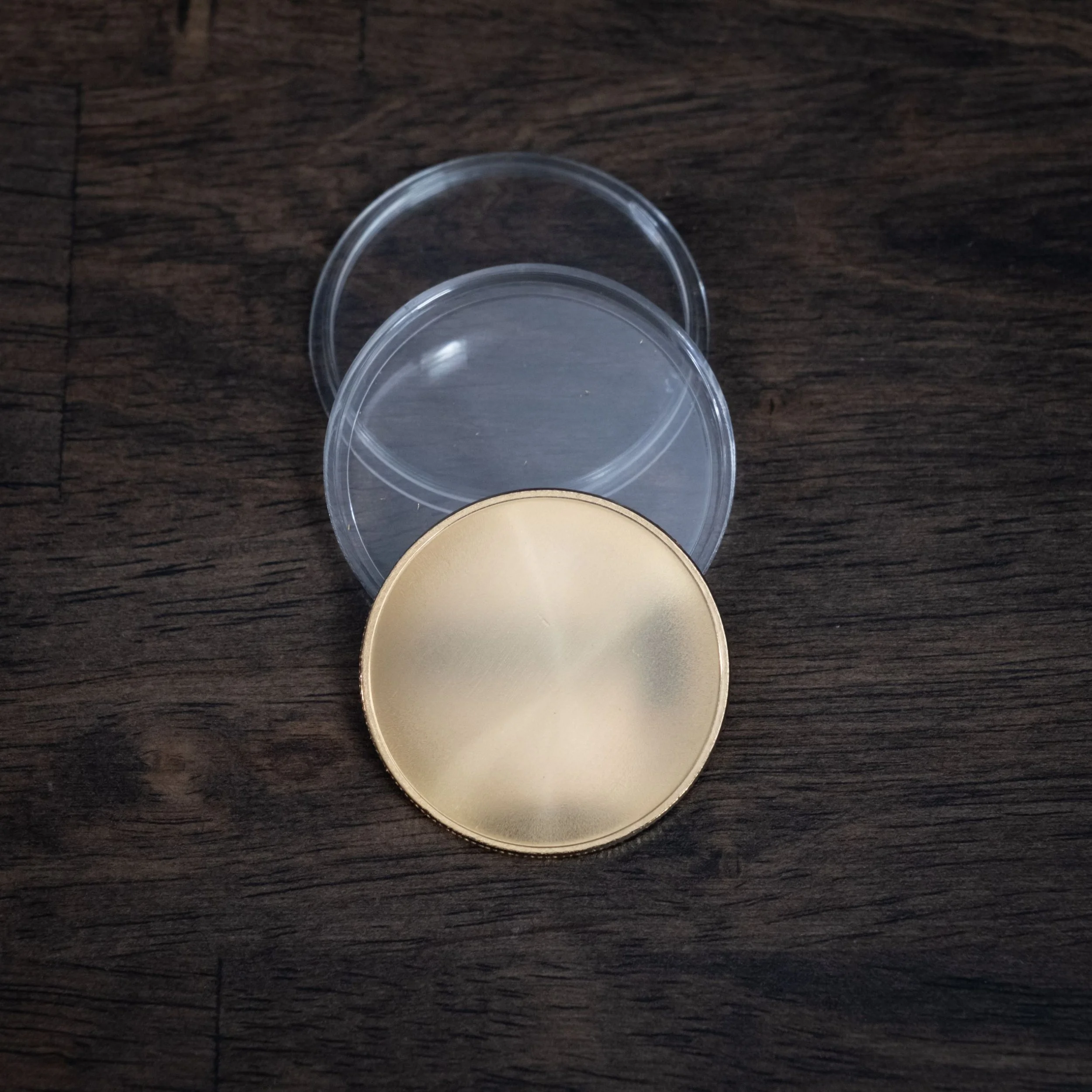 DSCF2354 (Large).jpg