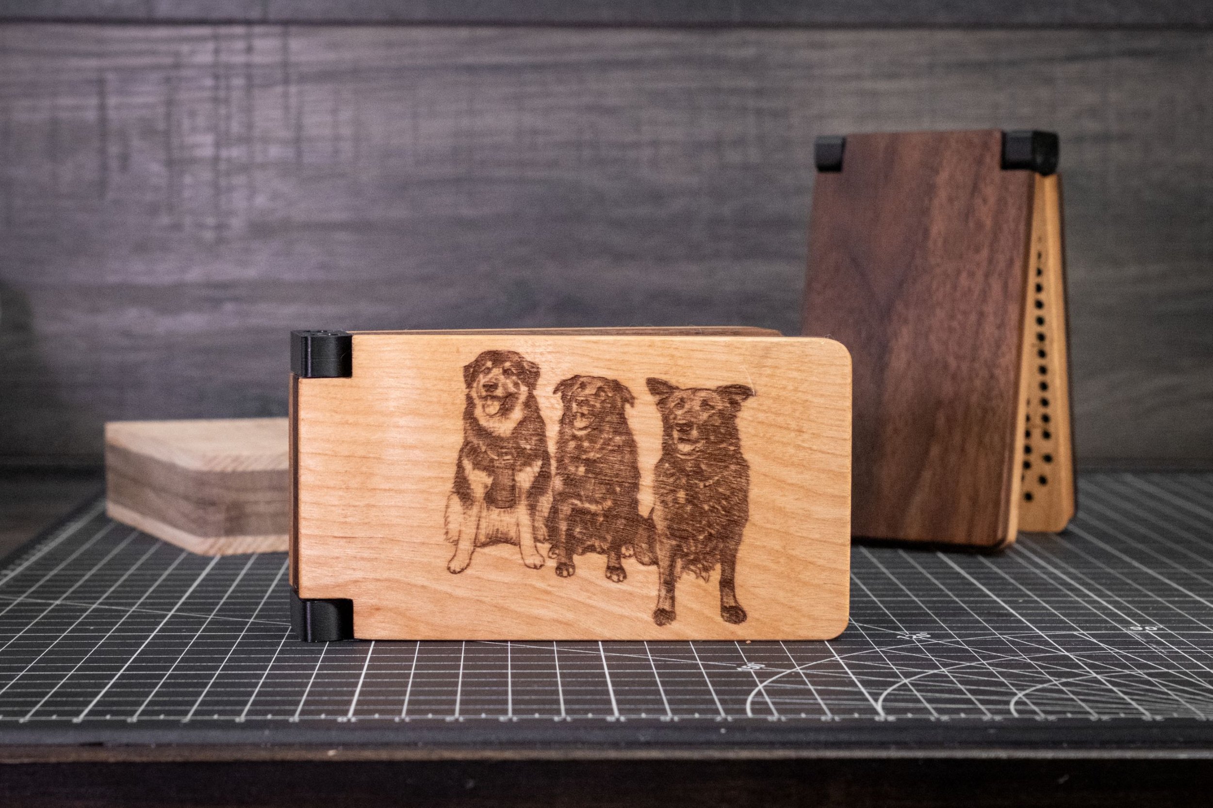 DSCF2274 (Large).jpg