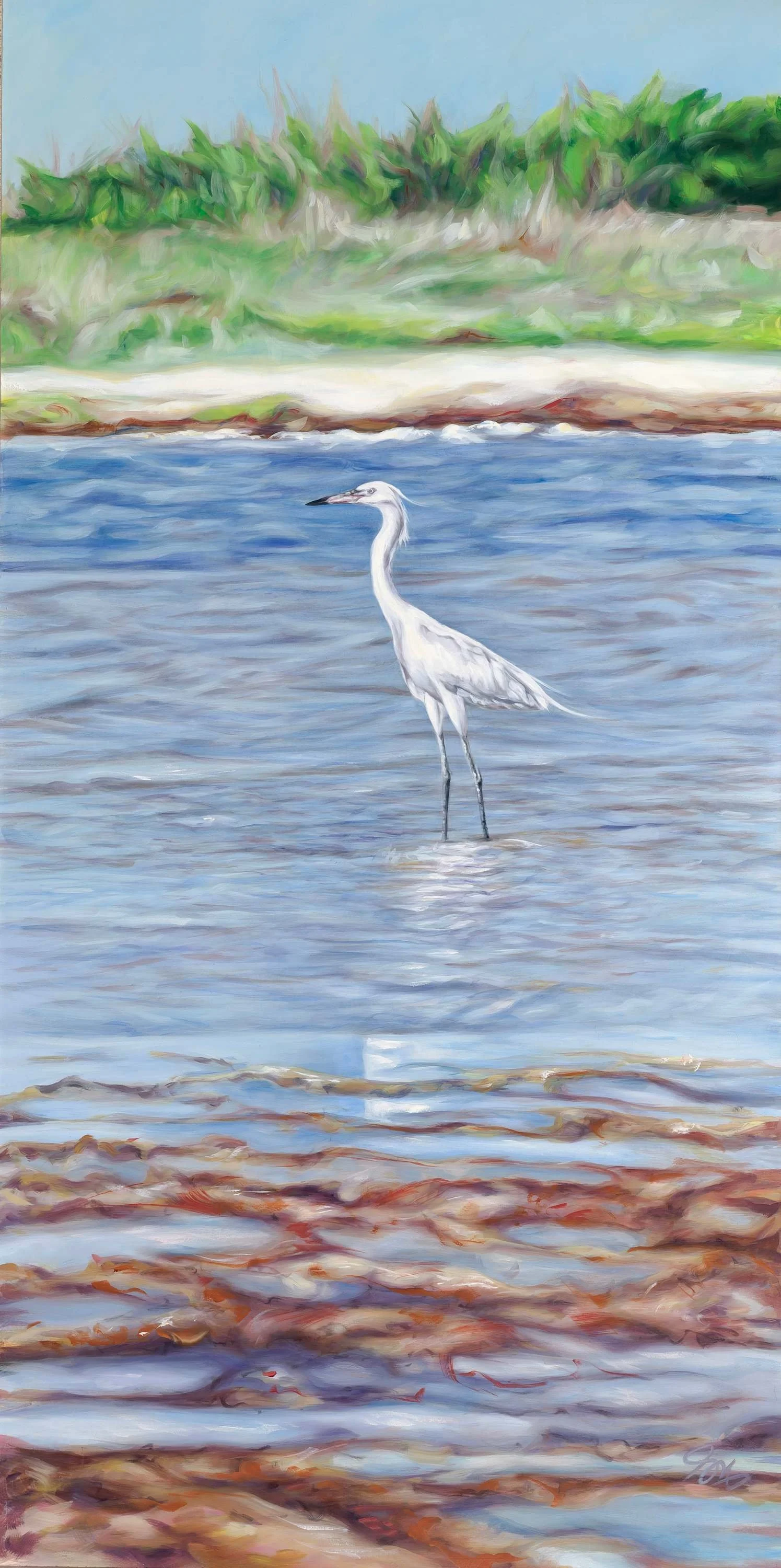 White Morph in Color, 24 in x 48 in, Oil on paper