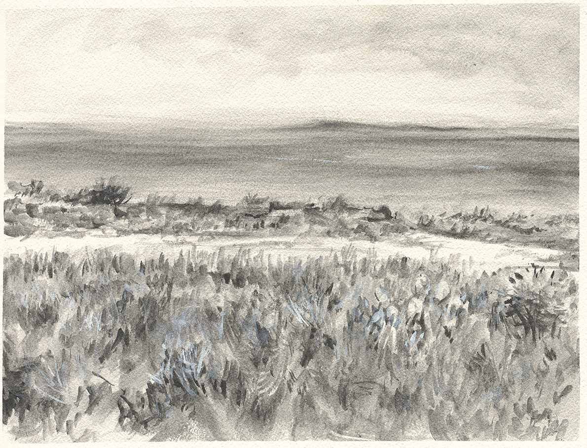 Island Meditation II, 2024
Graphite on Paper
10 x 13 in 