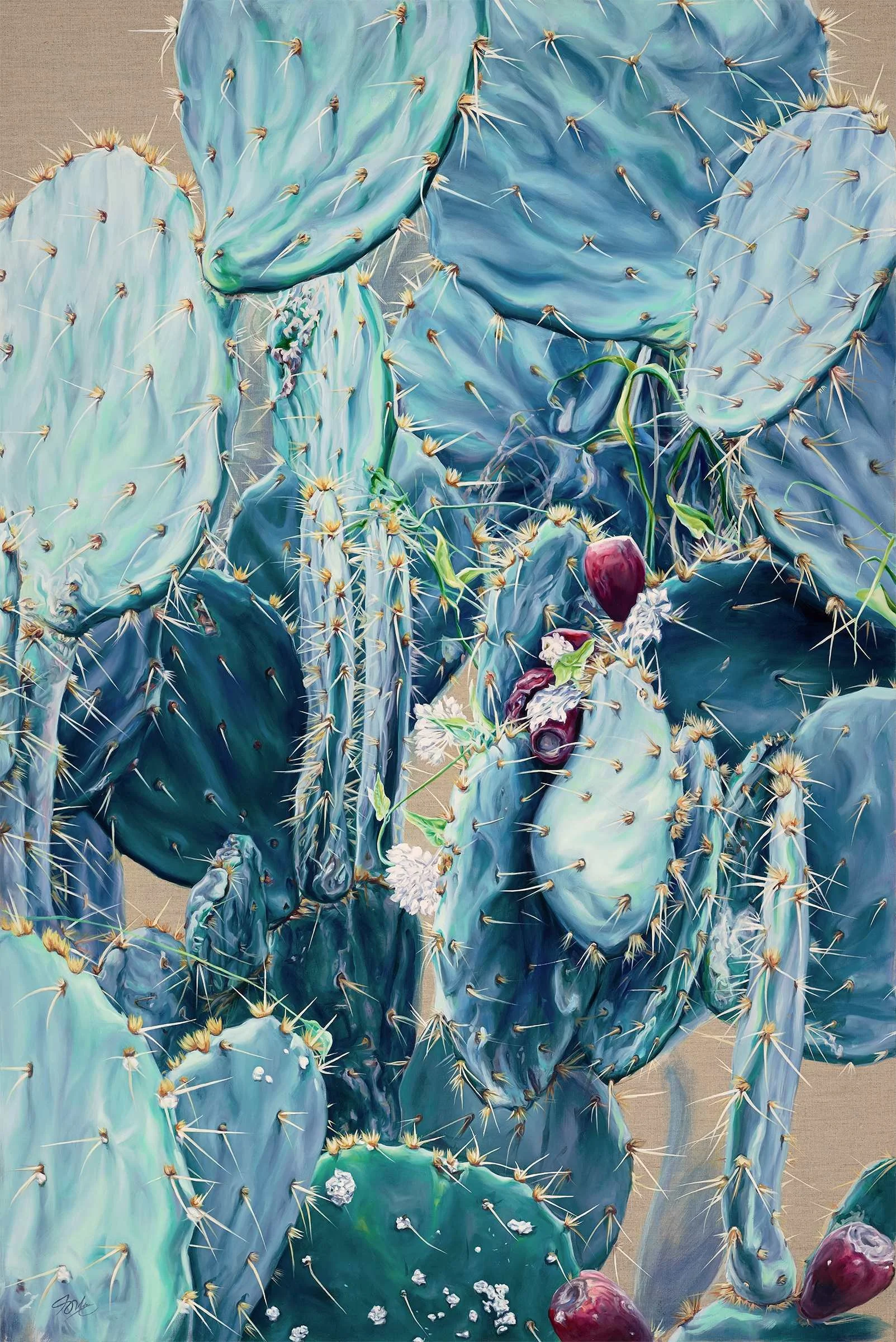 Cactus_sm_ll35gi.jpeg