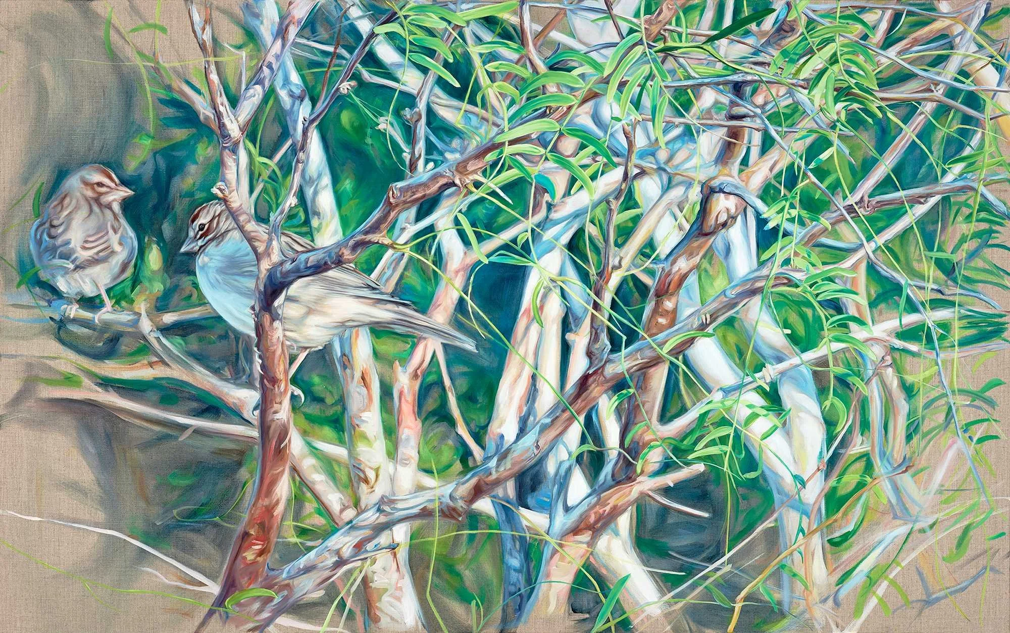 Lark_Sparrows_sm_y2qpwj.jpeg