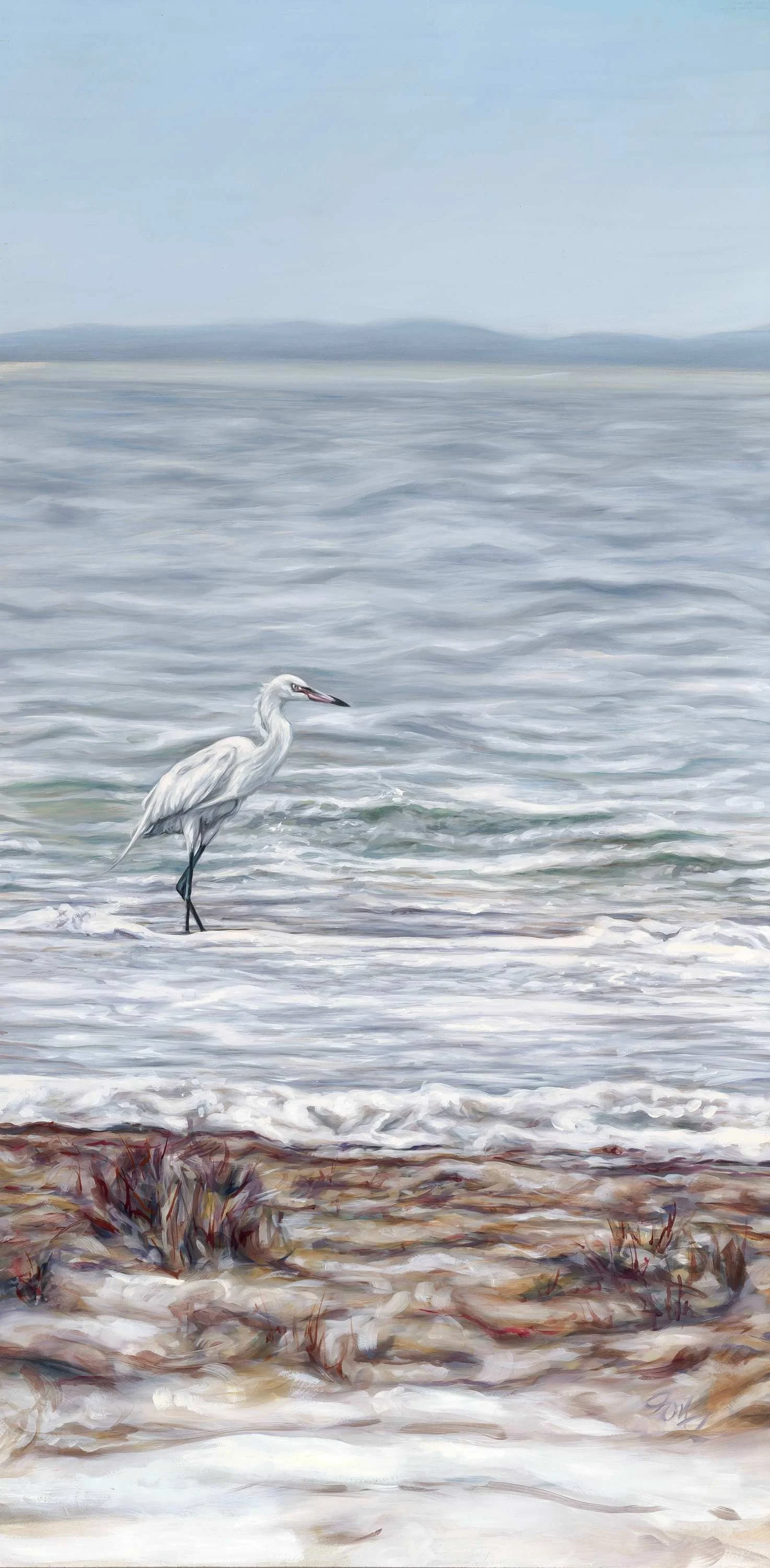 White Morph in Grey, 24 in x 48 in, Oil on paper