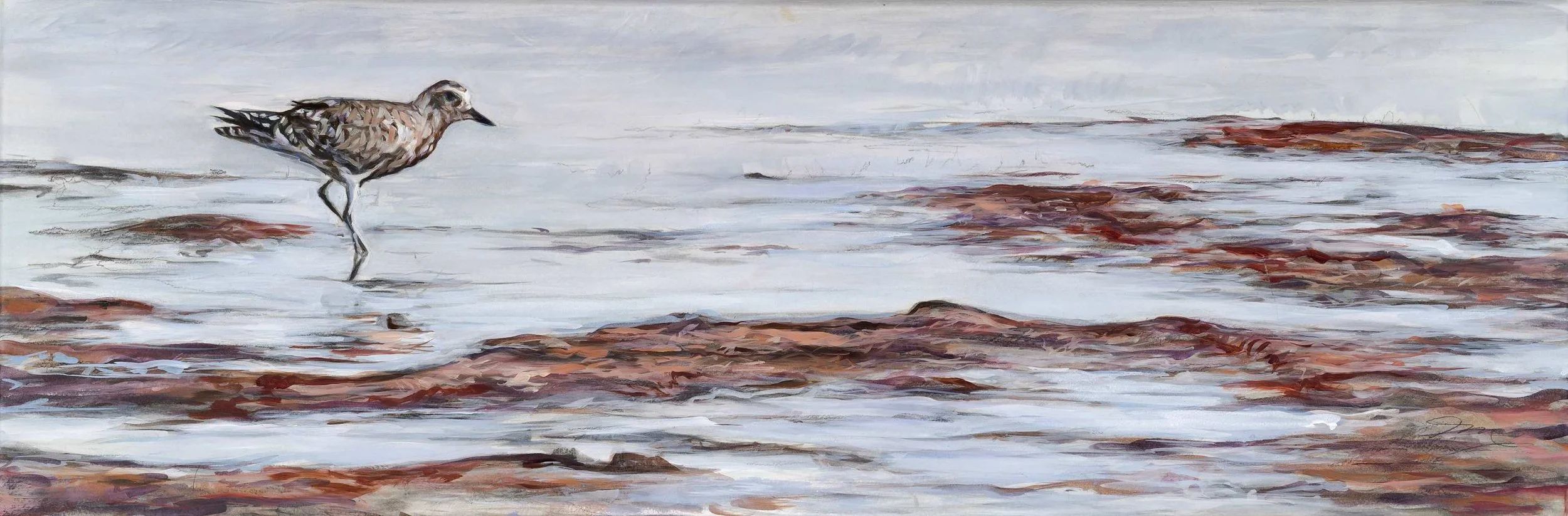 Hunting Plover, 2024
Oil on Watercolor Paper
12 x 36 in 