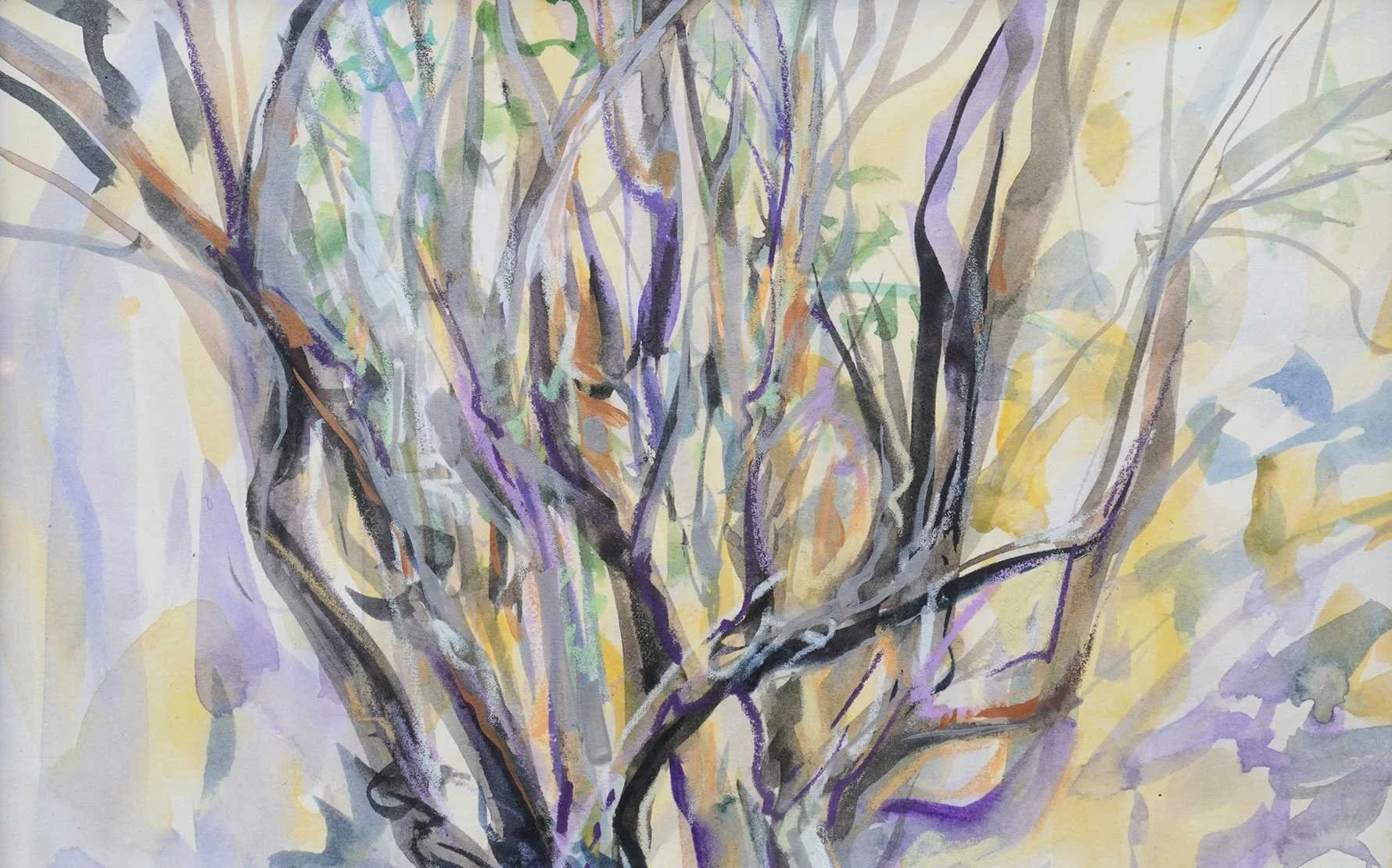 Meditations on Paper
