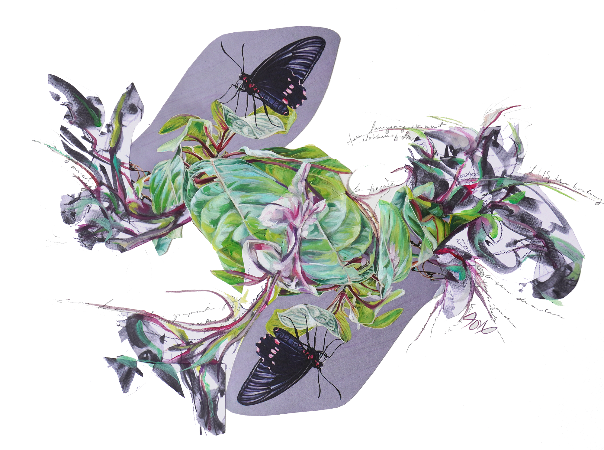 DSC04002sm.png