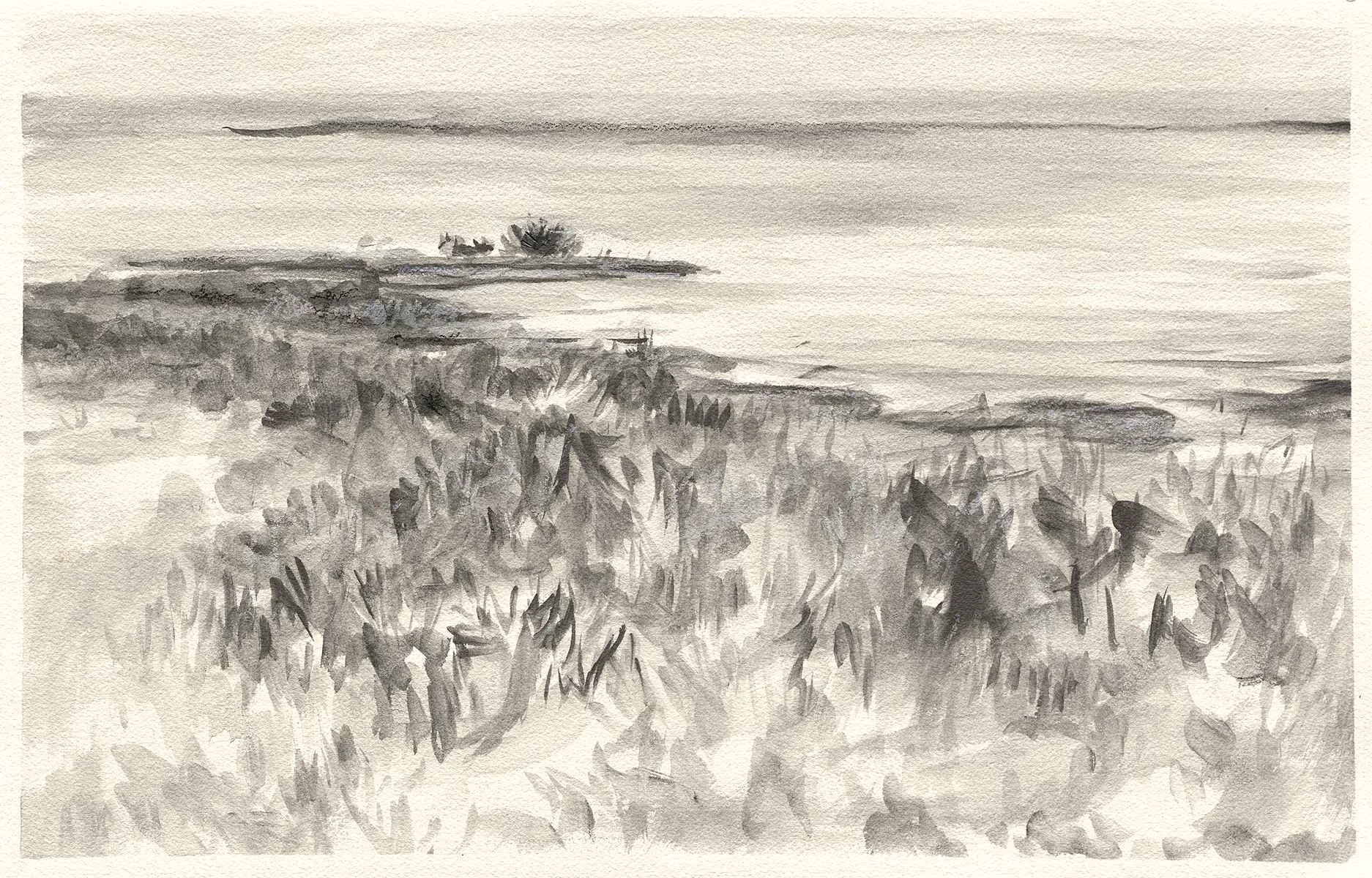Island Meditation V, 2024
Graphite on Paper
12 x 19 in 