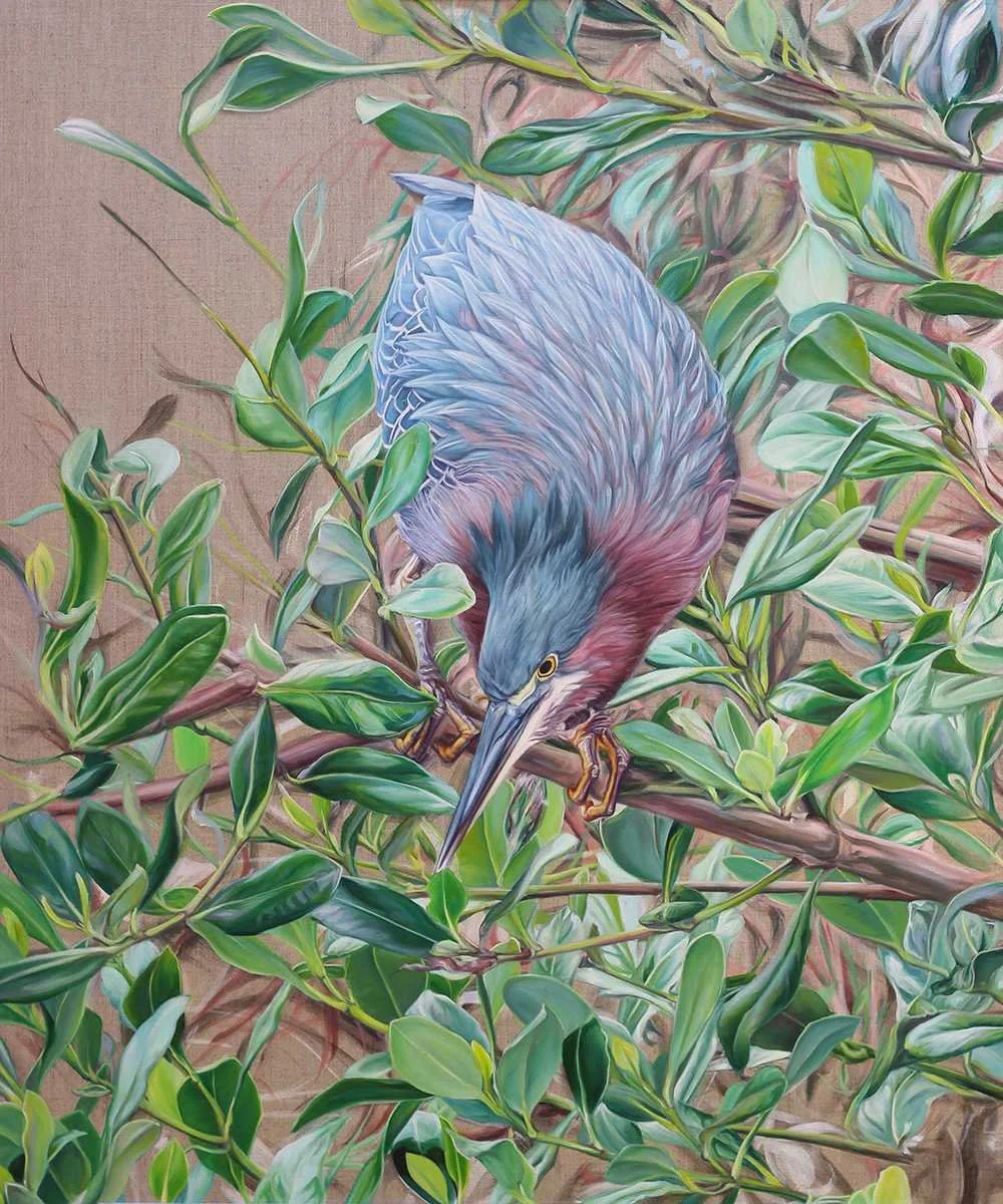 Green Heron, c. 2017
Oil on Linen
30 x 20 in
