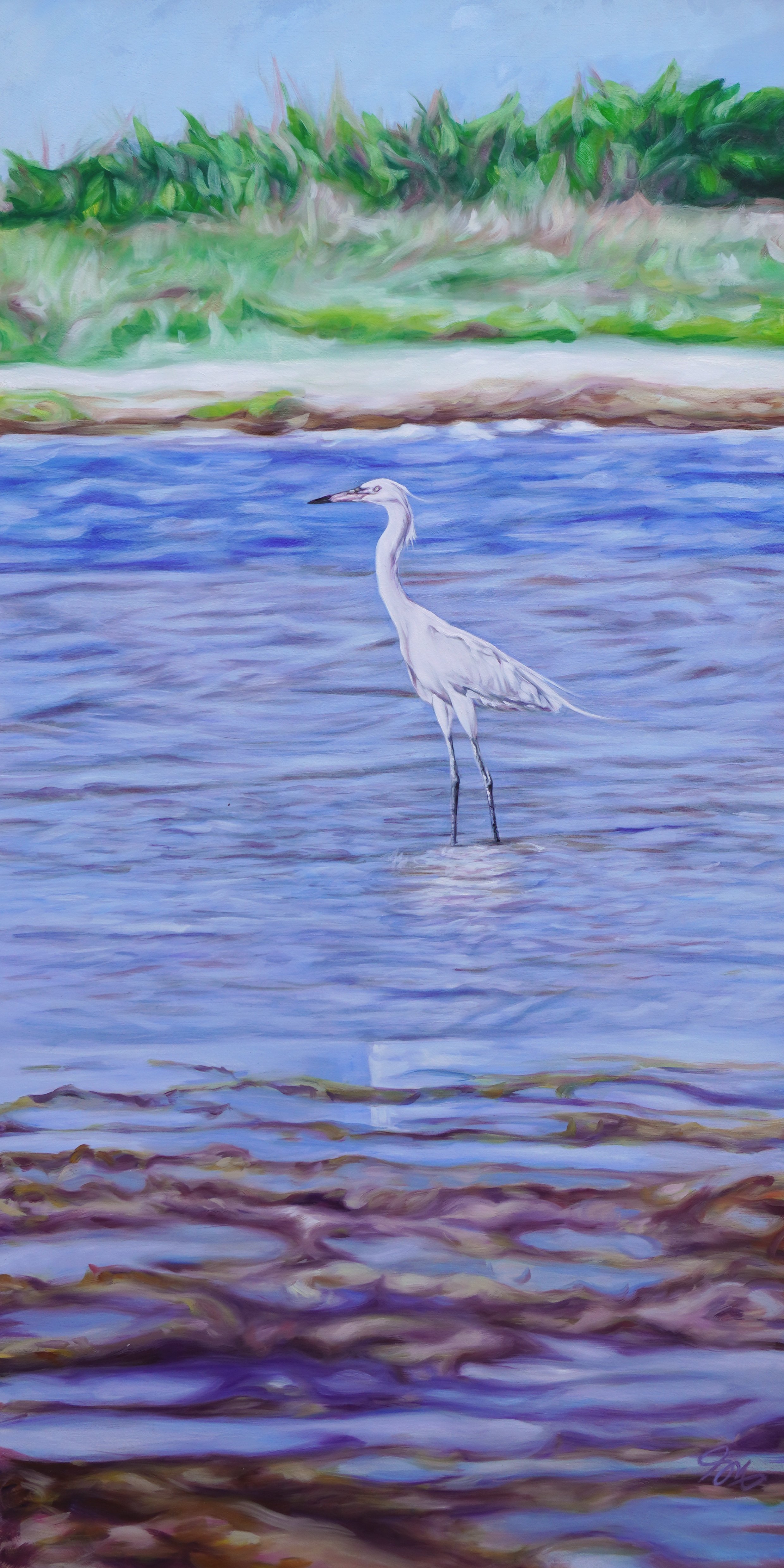 White Morph in Color, 24" x 48", Oil on Paper
