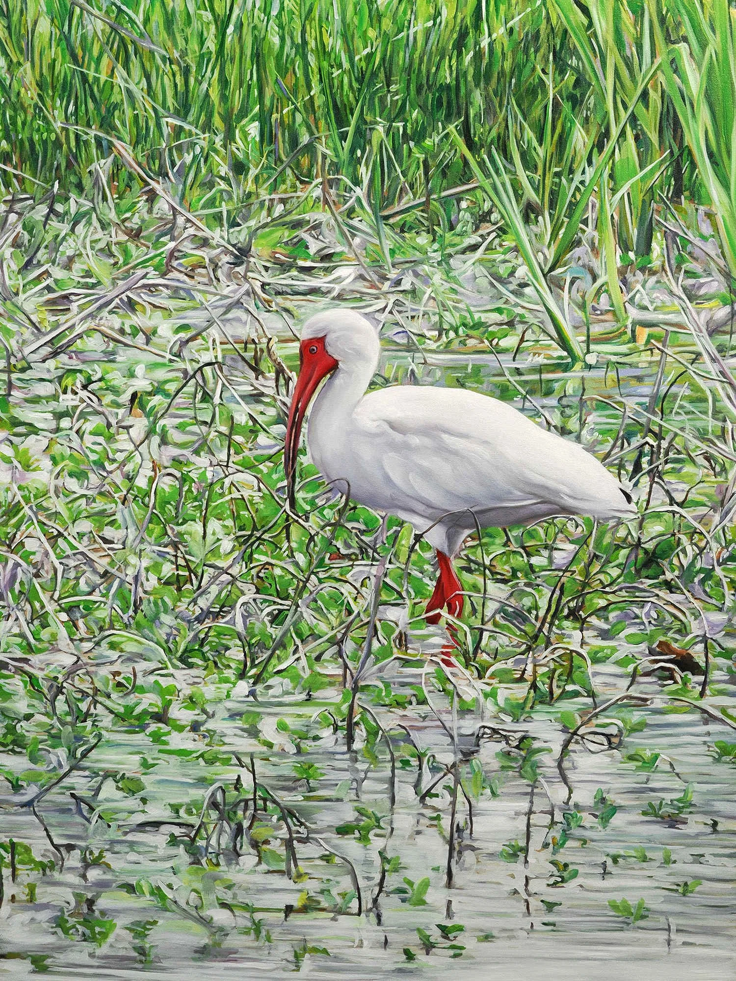 White Ibis, 2024
OIl on Birch
24 x 18 in 