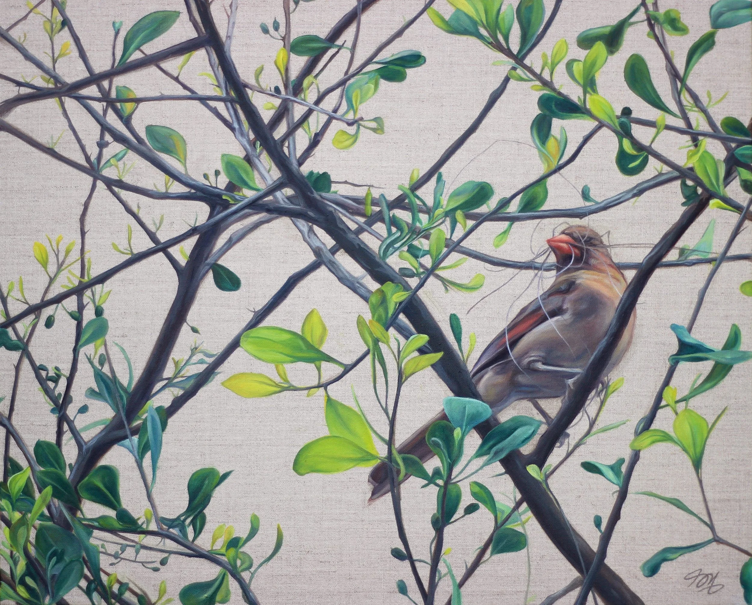 15-18-OL_Mama_Cardinal_samxi2.jpg