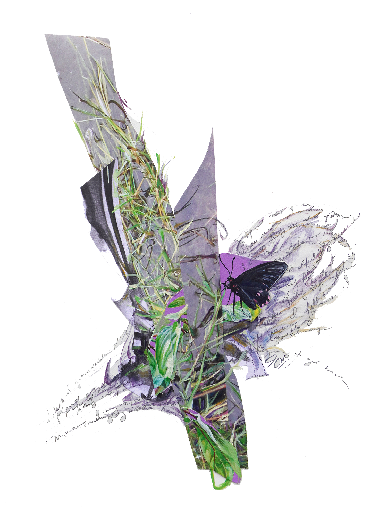 DSC03989sm.png