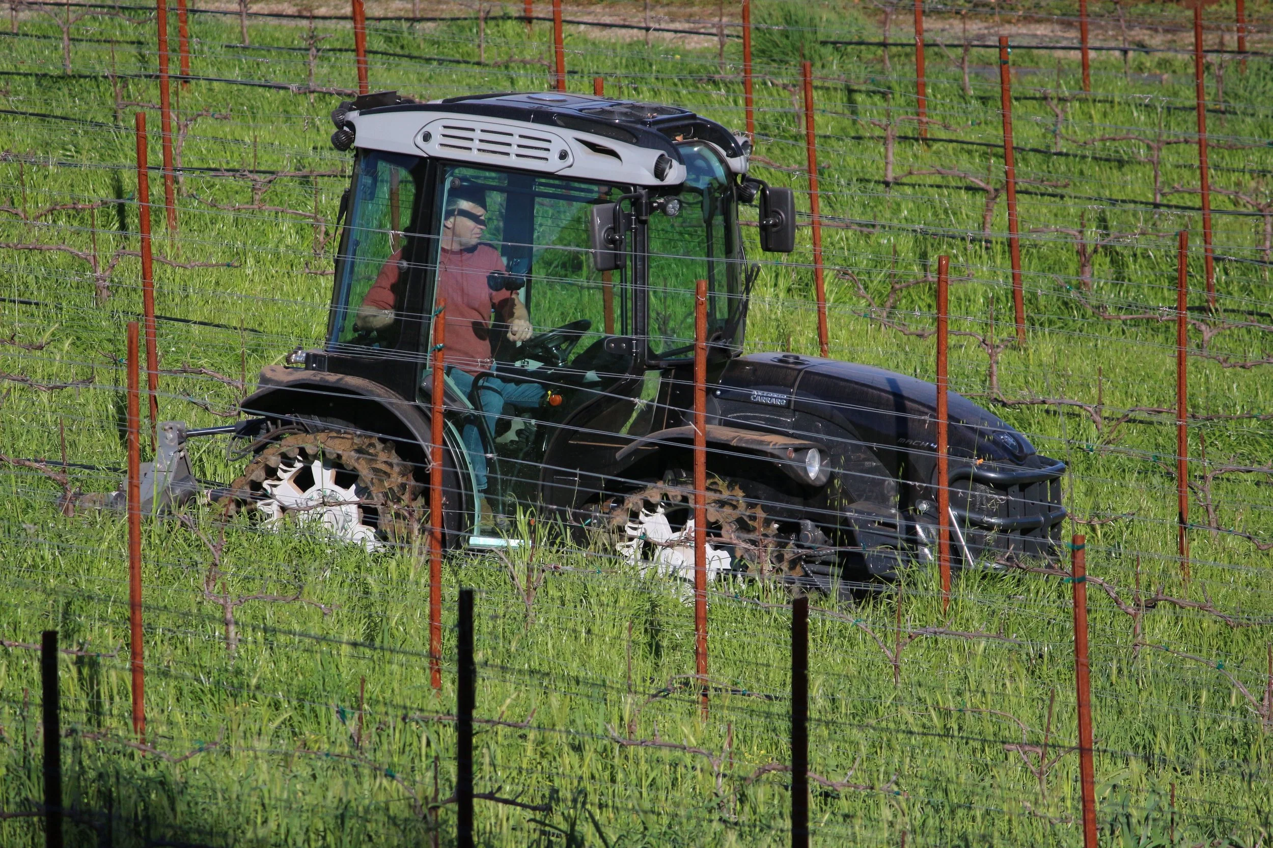 This is winter, I guess…