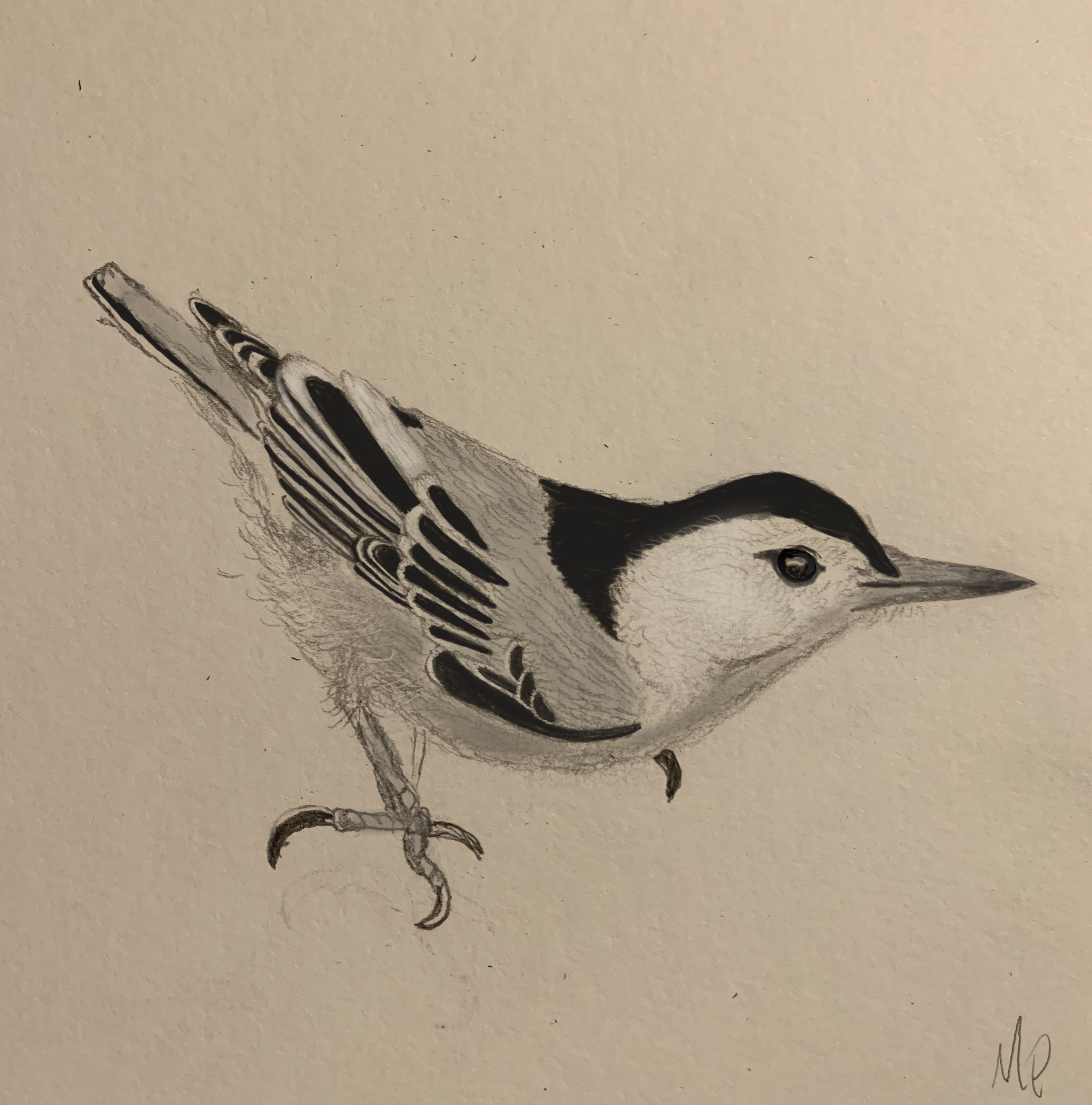 FullSizeRender 1.jpg