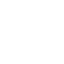 Shield Icon