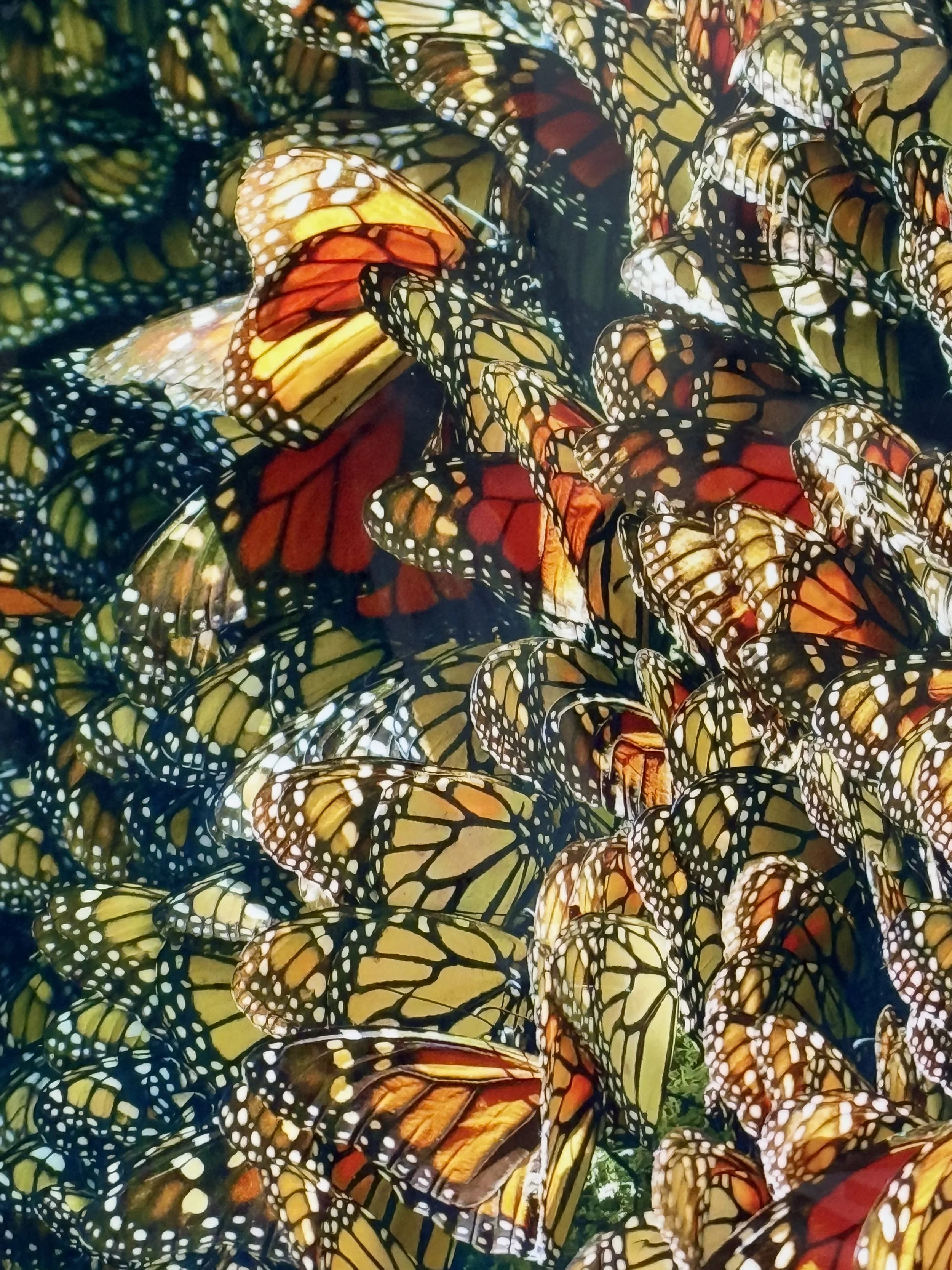 Marianne Werner