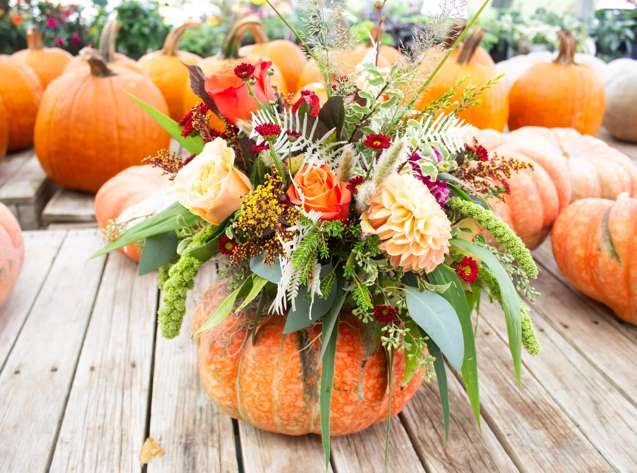 Fall's favorite centerpiece has arrived. 🍂

#october #fall #pumpkin #florals #centerpiece #flowershop #giftshop #gardencenter #westchesterpa
