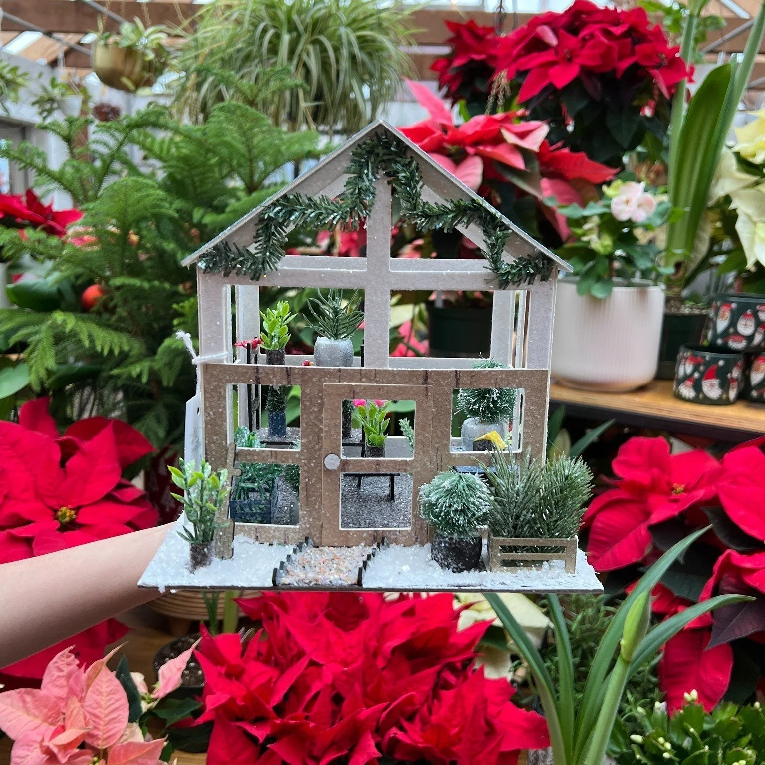 A dreamy little greenhouse...in a dreamy little greenhouse ✨ 
.
.

#Christmas #plants #greenhouse #holidayseason #flowershop #westchesterpa