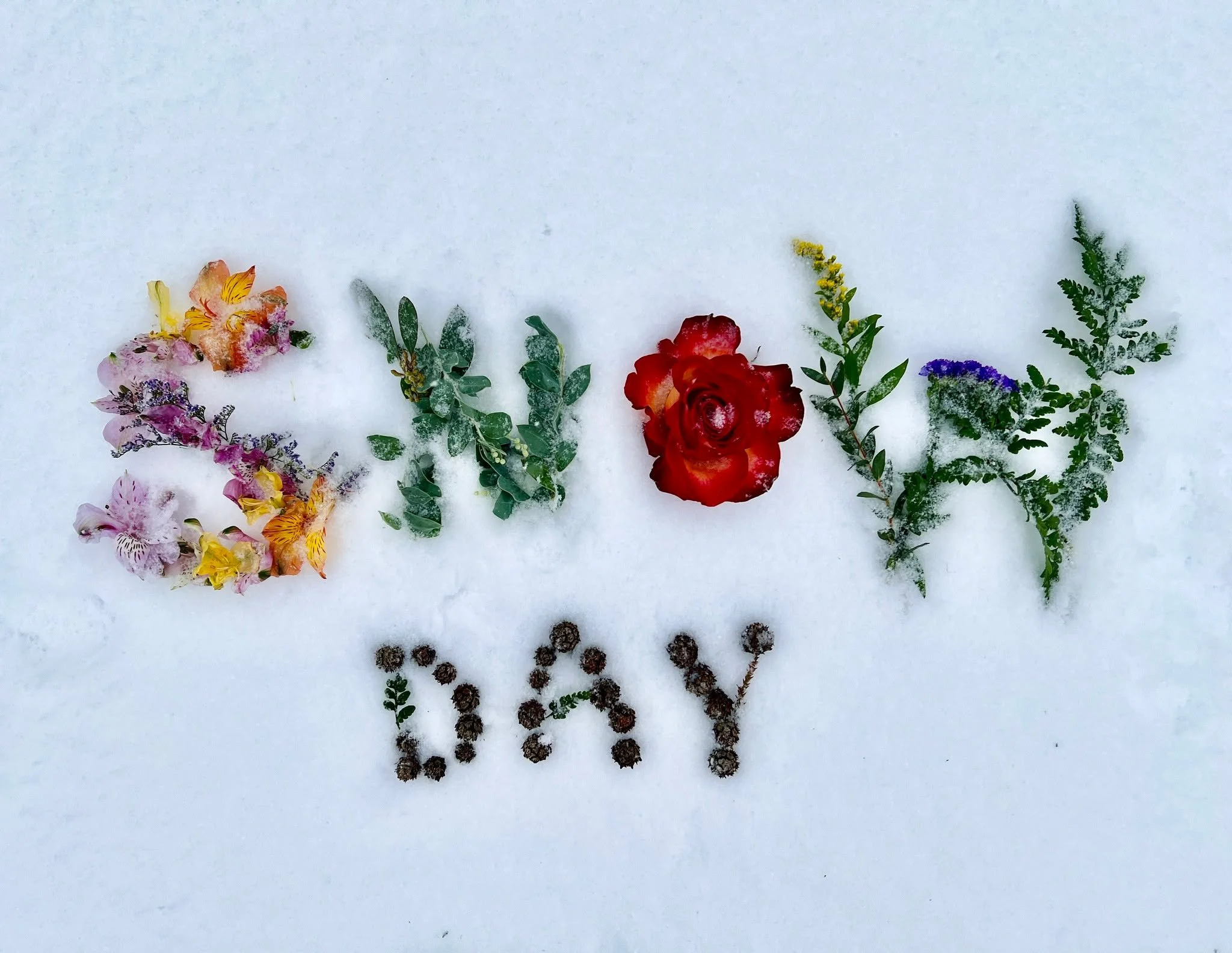 We'll be closed tomorrow, Monday, 2/23! Stay safe out there and we'll see you soon. ❄️
.
.
#snowday #flowershop #florist #snow #westchesterpa