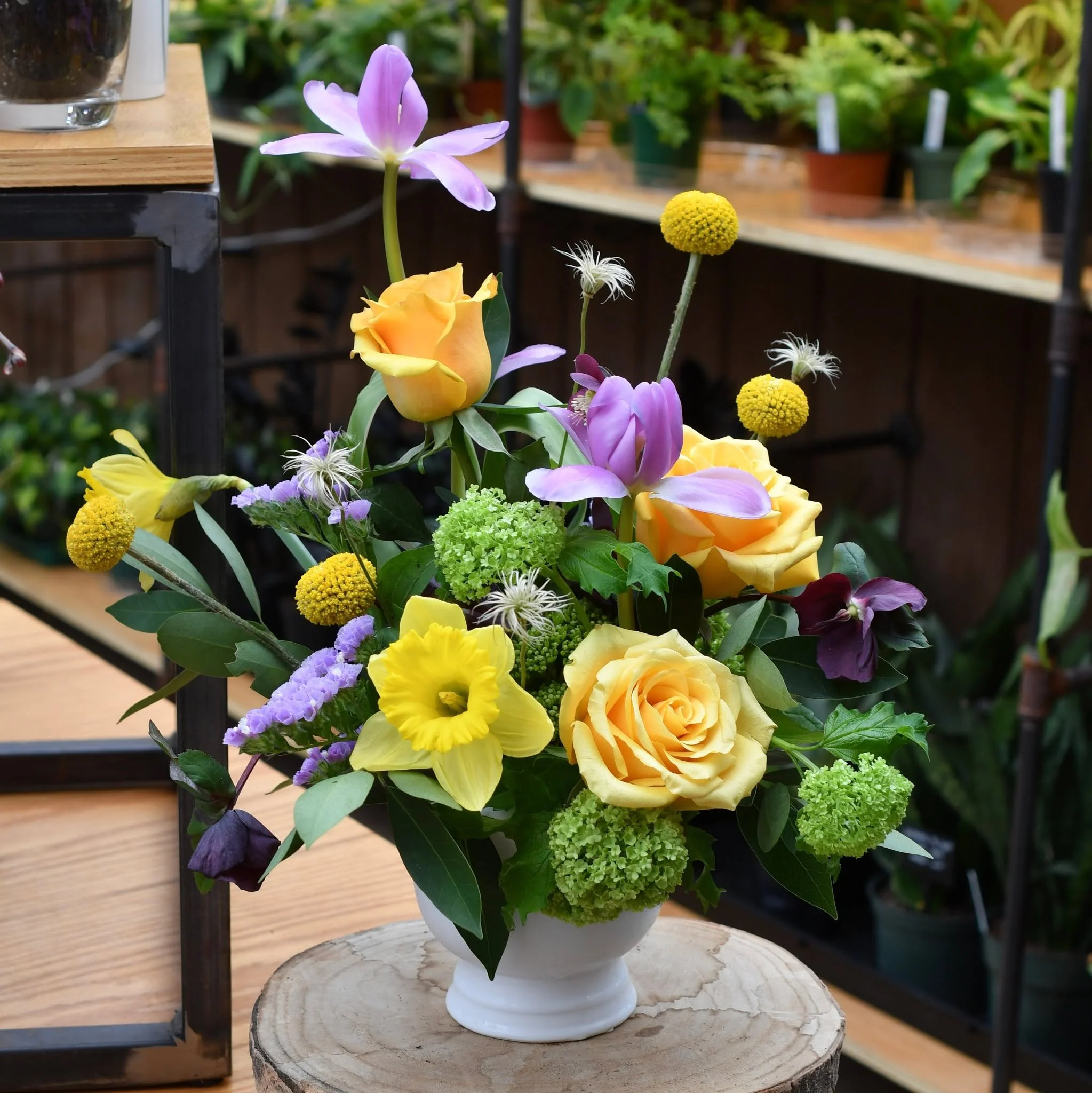 It may feel like winter today, but here's a little reminder that spring is really happening!💛
.
.
#spring #coldsnap #April #flowershop #westchesterpa