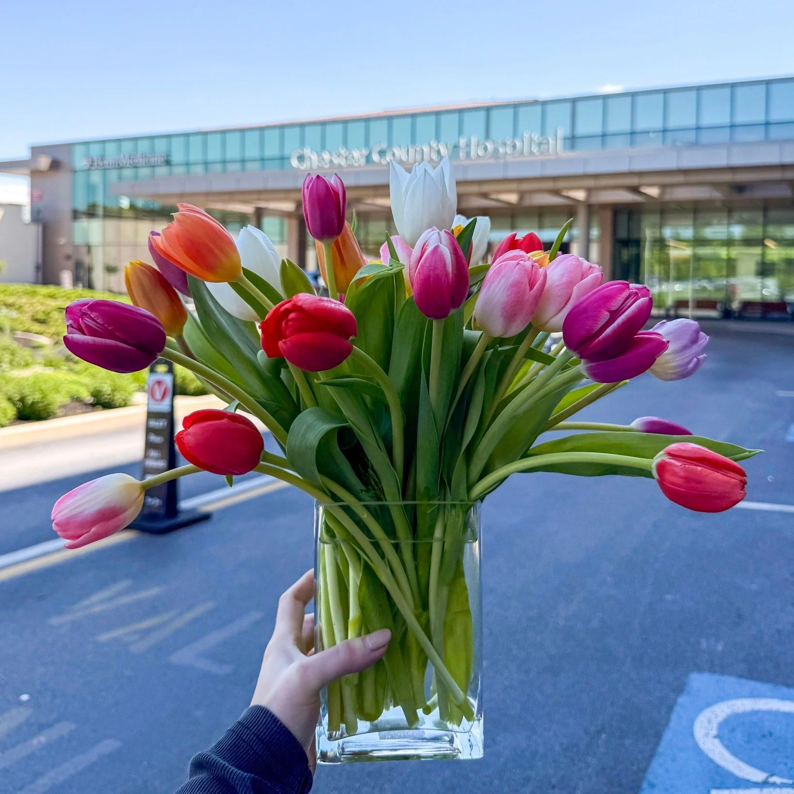 Happy International Nurses Day to the heroes who care with compassion, strength, and heart every single day. ✨ 
.
.
#InternationalNursesDay #ThankYouNurses #NursesDay #flowershop #westchesterpa