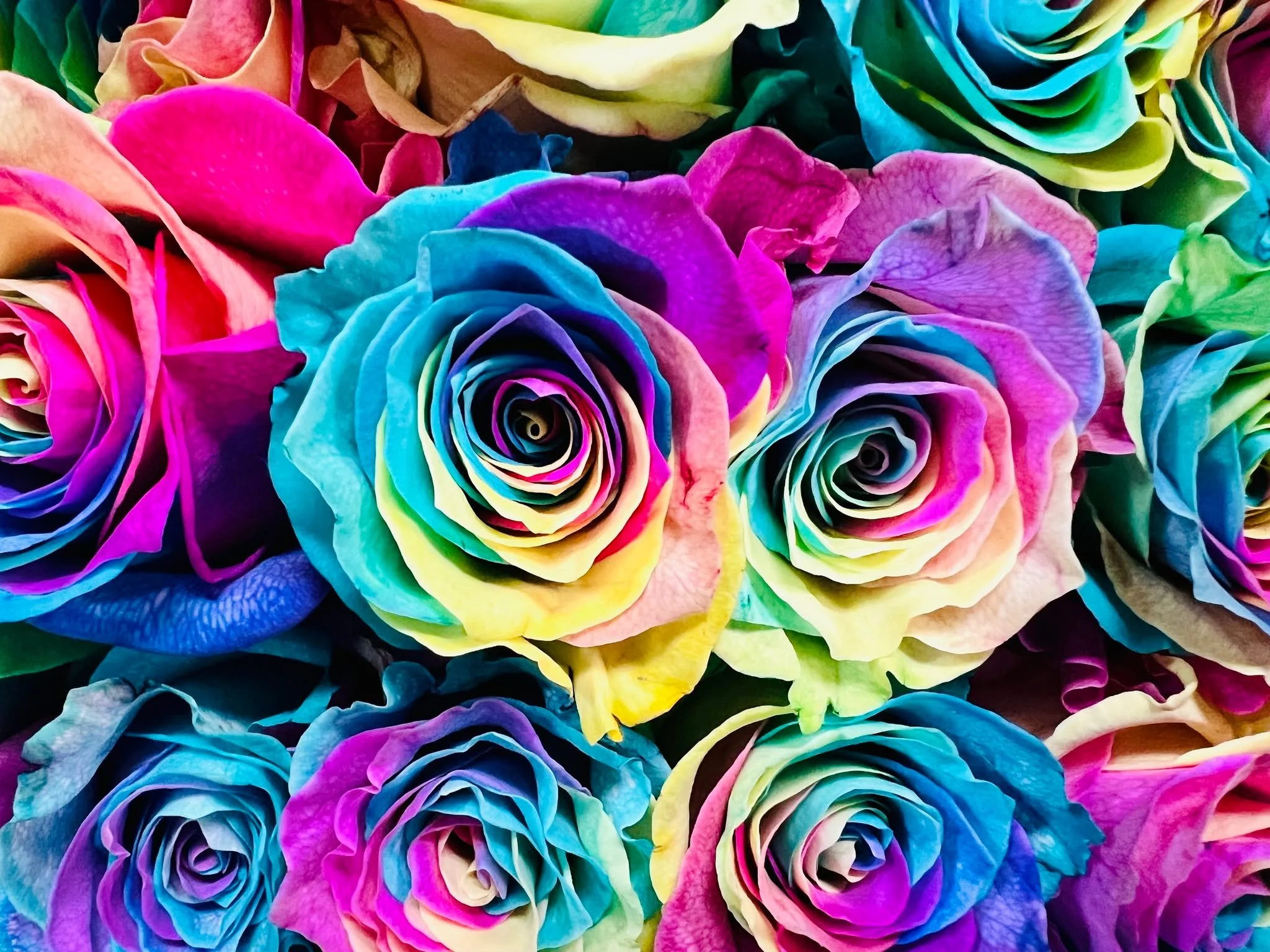 🌈Giveaway
We're giving away FREE rainbow roses at the shop this week while supplies last! 

A percentage of our sales this month will benefit @lgbtequalityalliance and their mission to foster inclusivity, well being, and social justice for the LGBTQ