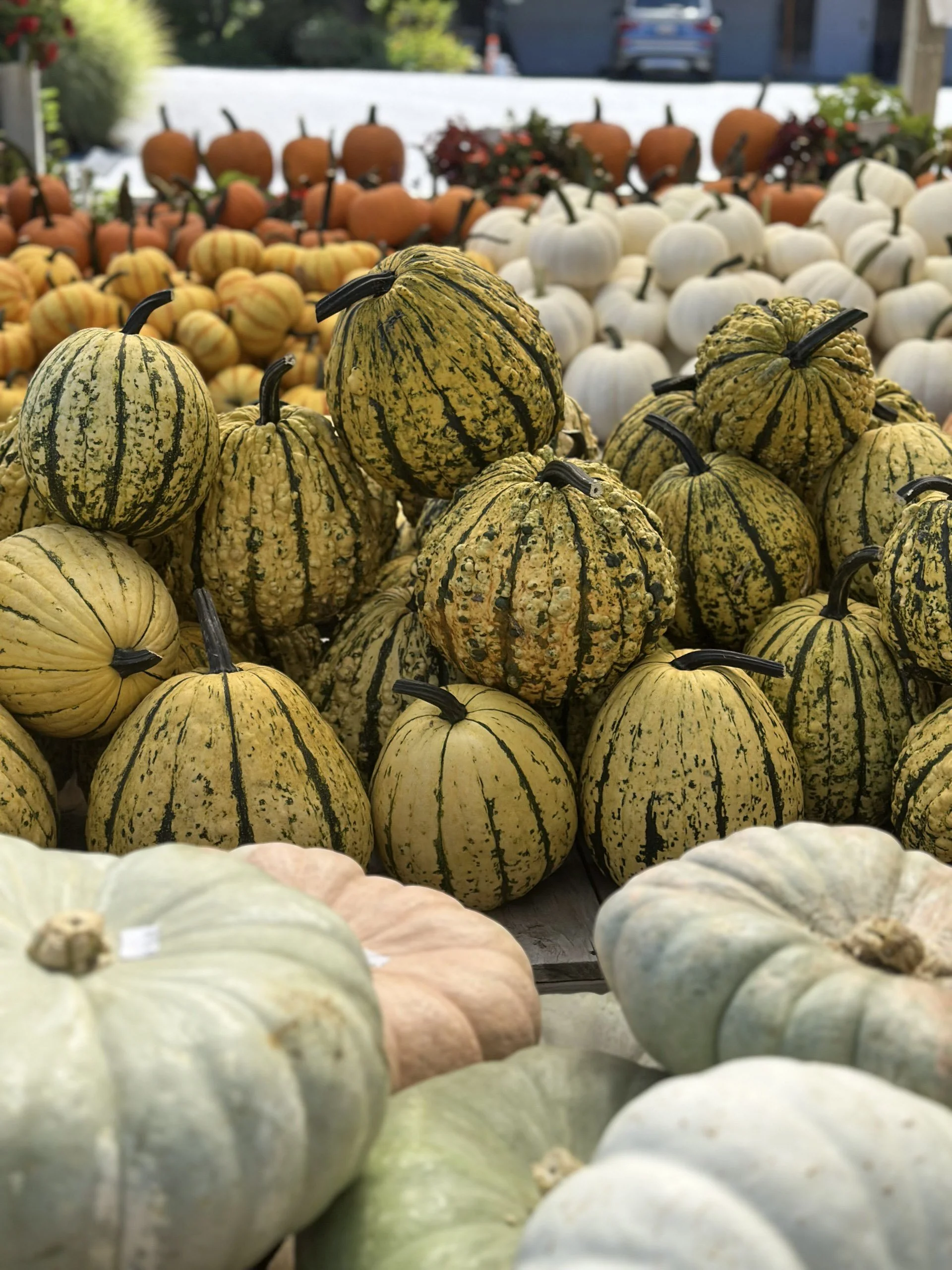 thumbnail_IMG_7926 (1).jpg