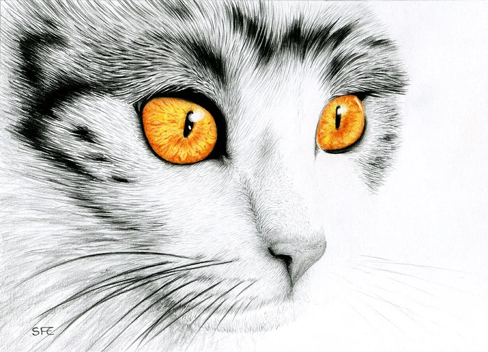 Hur jag lärde mig att teckna och måla