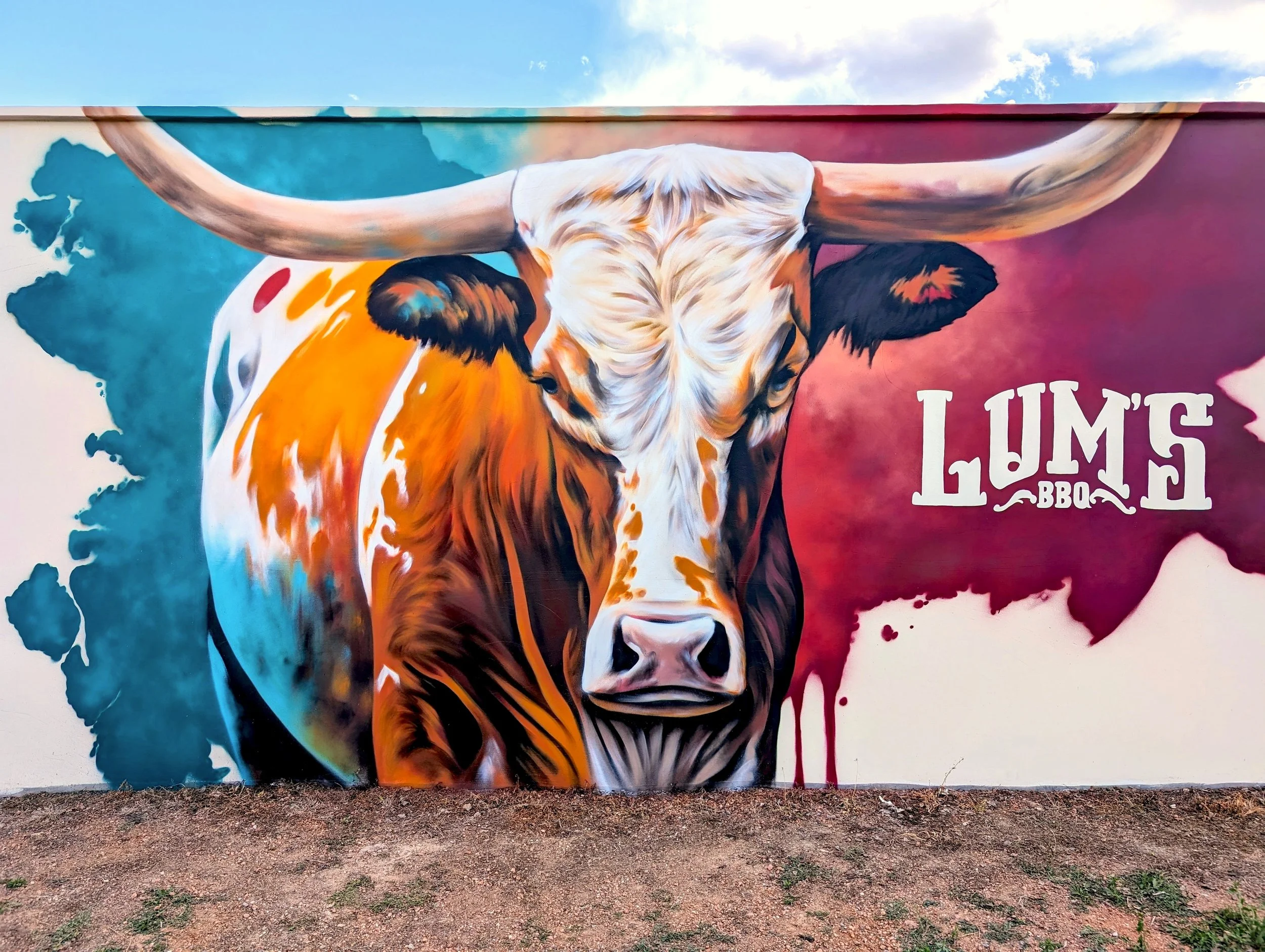 Complete branding package for Belly, featuring a fresh logo, modern typography, and a cohesive color palette