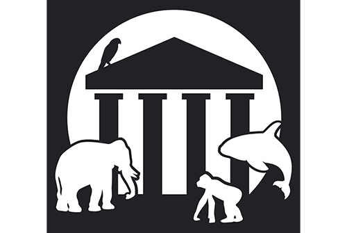 Executive Director, Nonhuman Rights Project