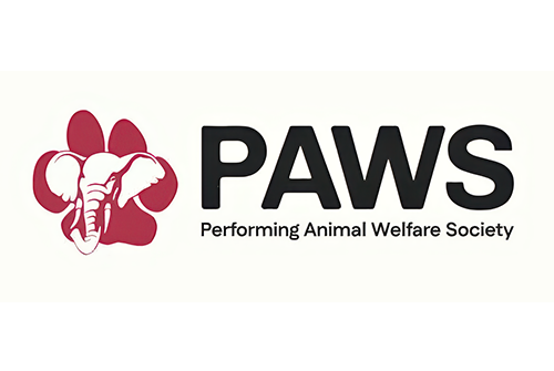 Executive Director, PAWS